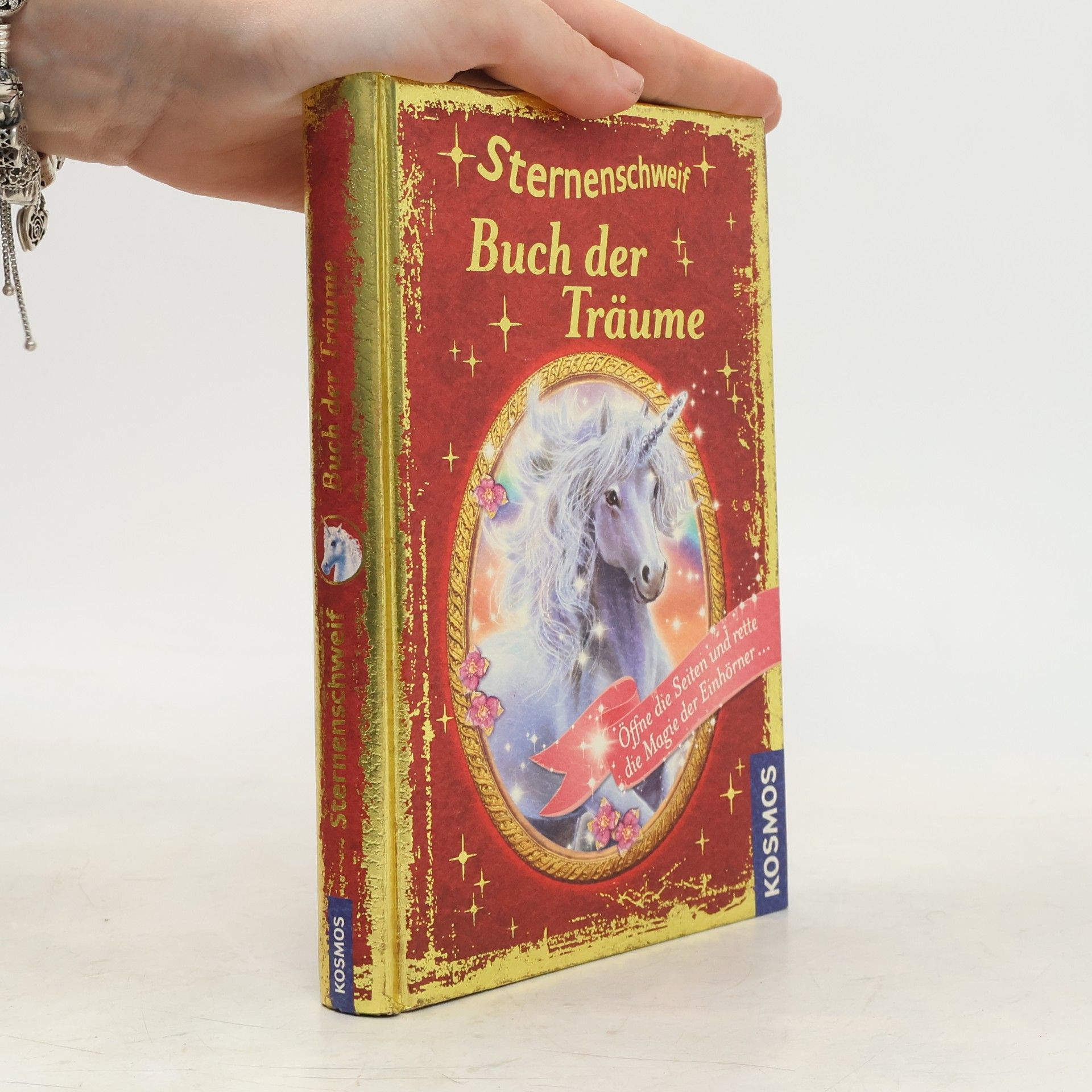 Linda Champan Sternenschweif - Buch der Träume