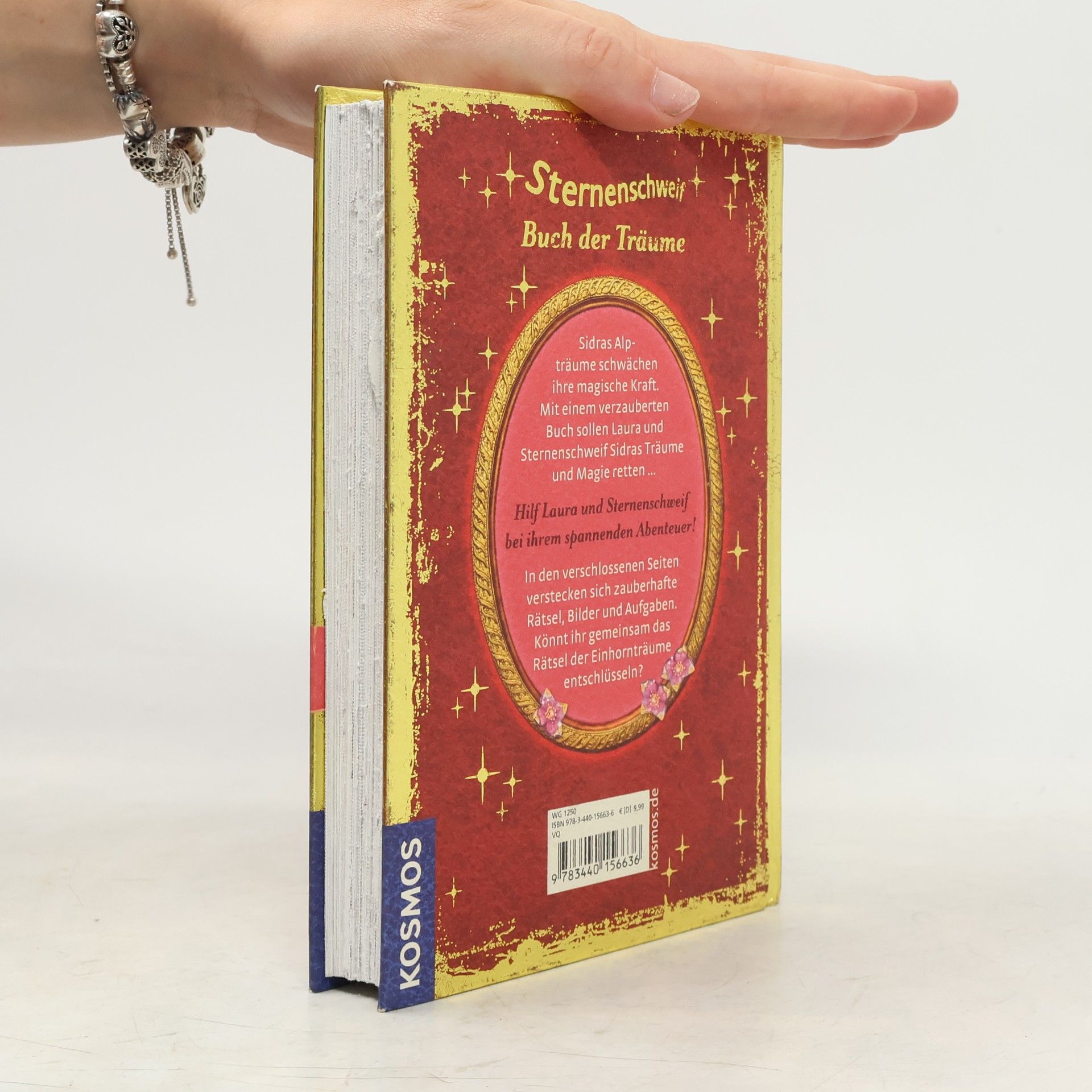 Linda Champan Sternenschweif - Buch der Träume