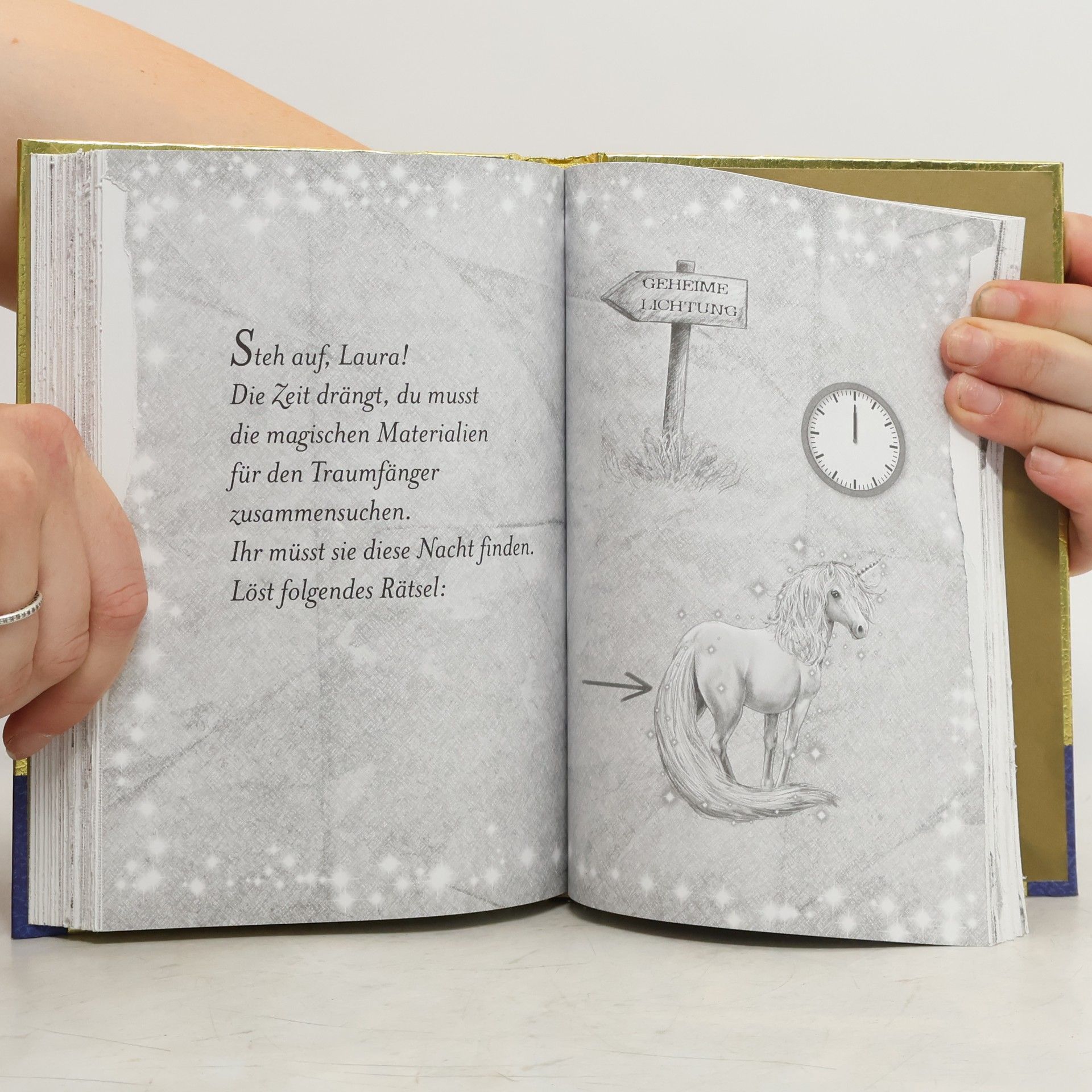 Linda Champan Sternenschweif - Buch der Träume
