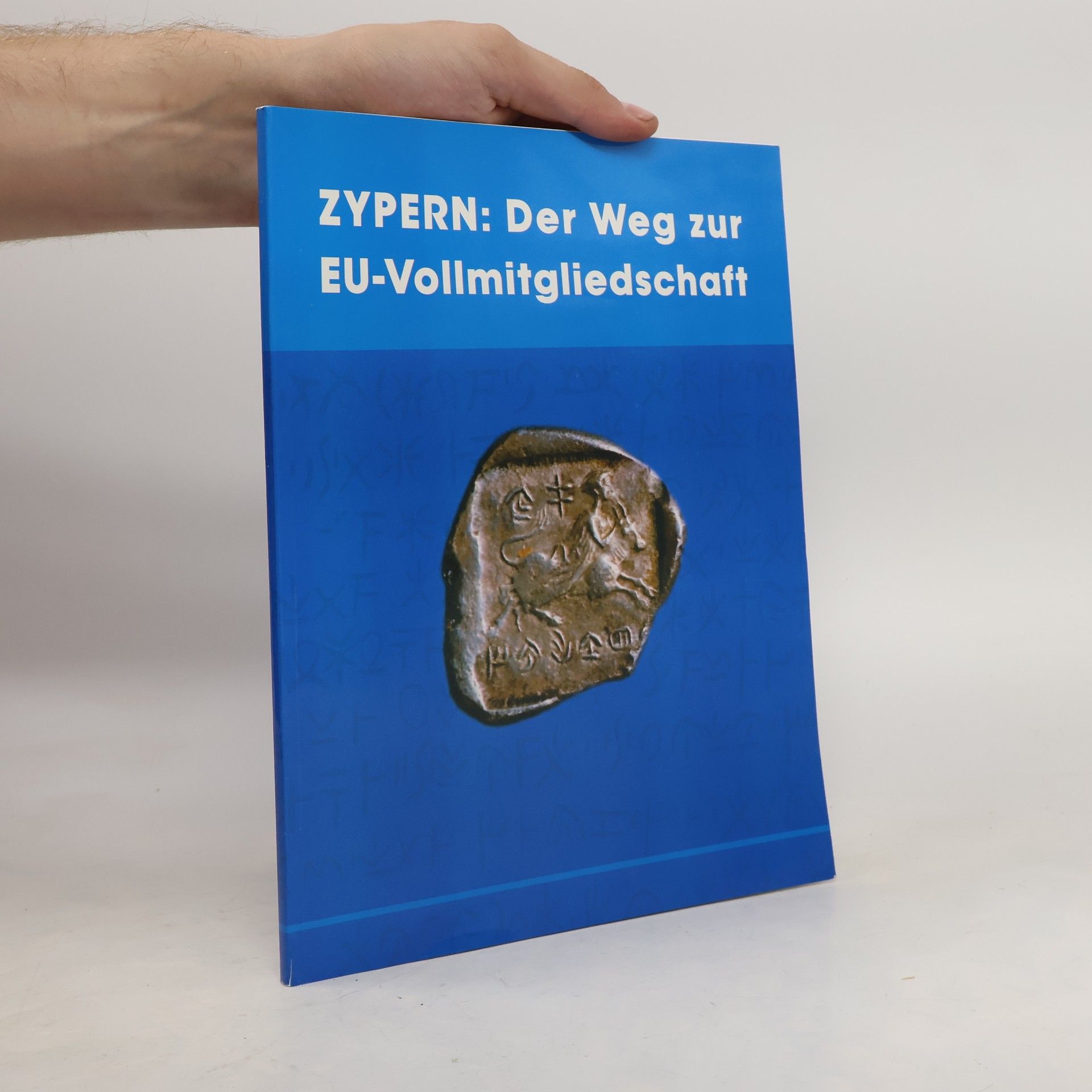 kolektiv Zypern: Der Weg zur EU-Vollmitgliedschaft