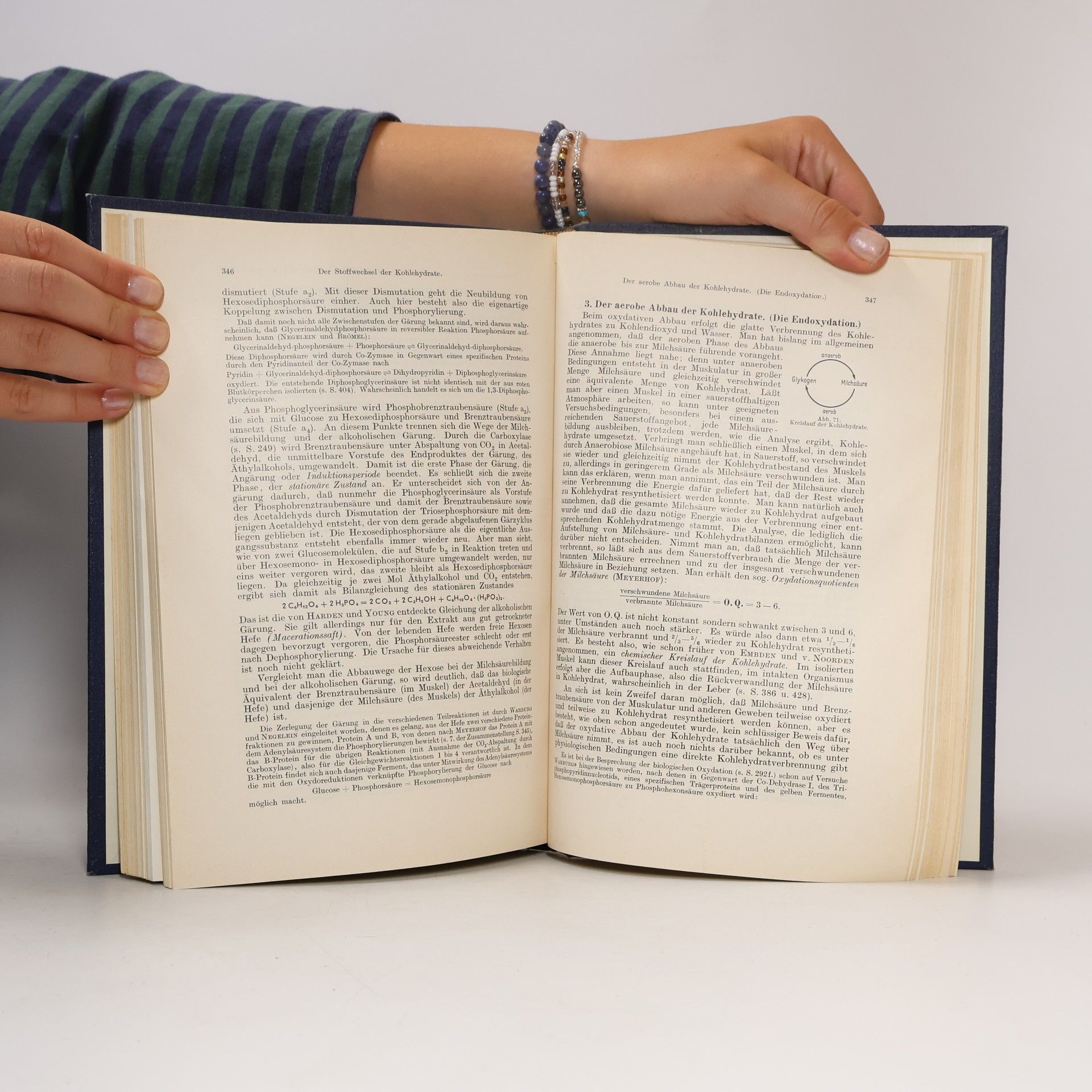 Emil Lehnartz Einführung in die chemische Physiologie