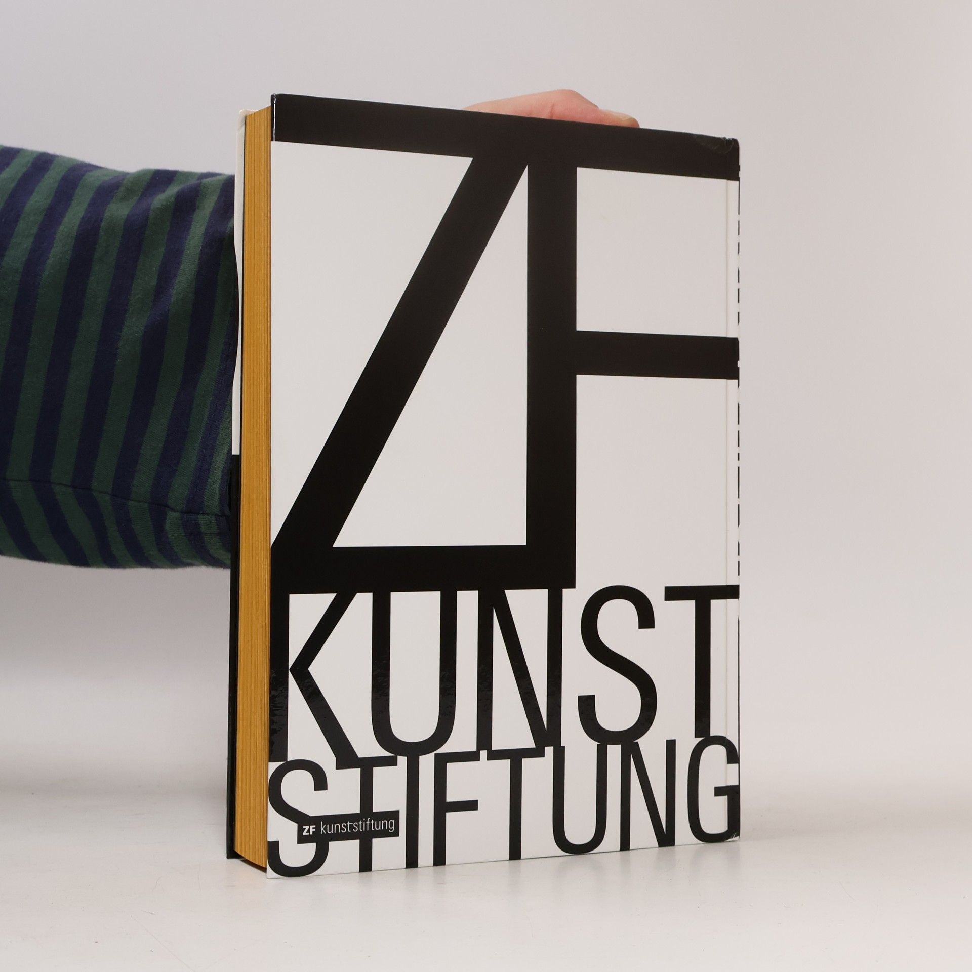 Matthias Lenz 25 Jahre ZF Kunststiftung