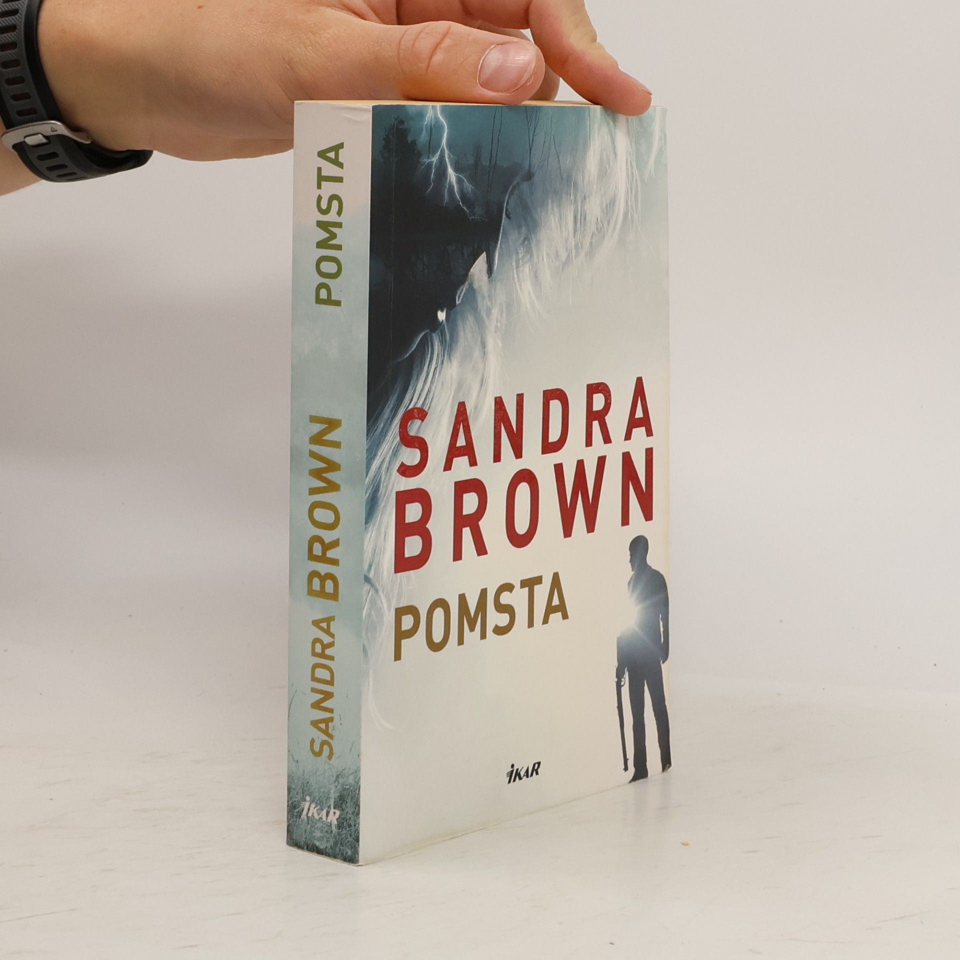 Sandra Brown Pomsta