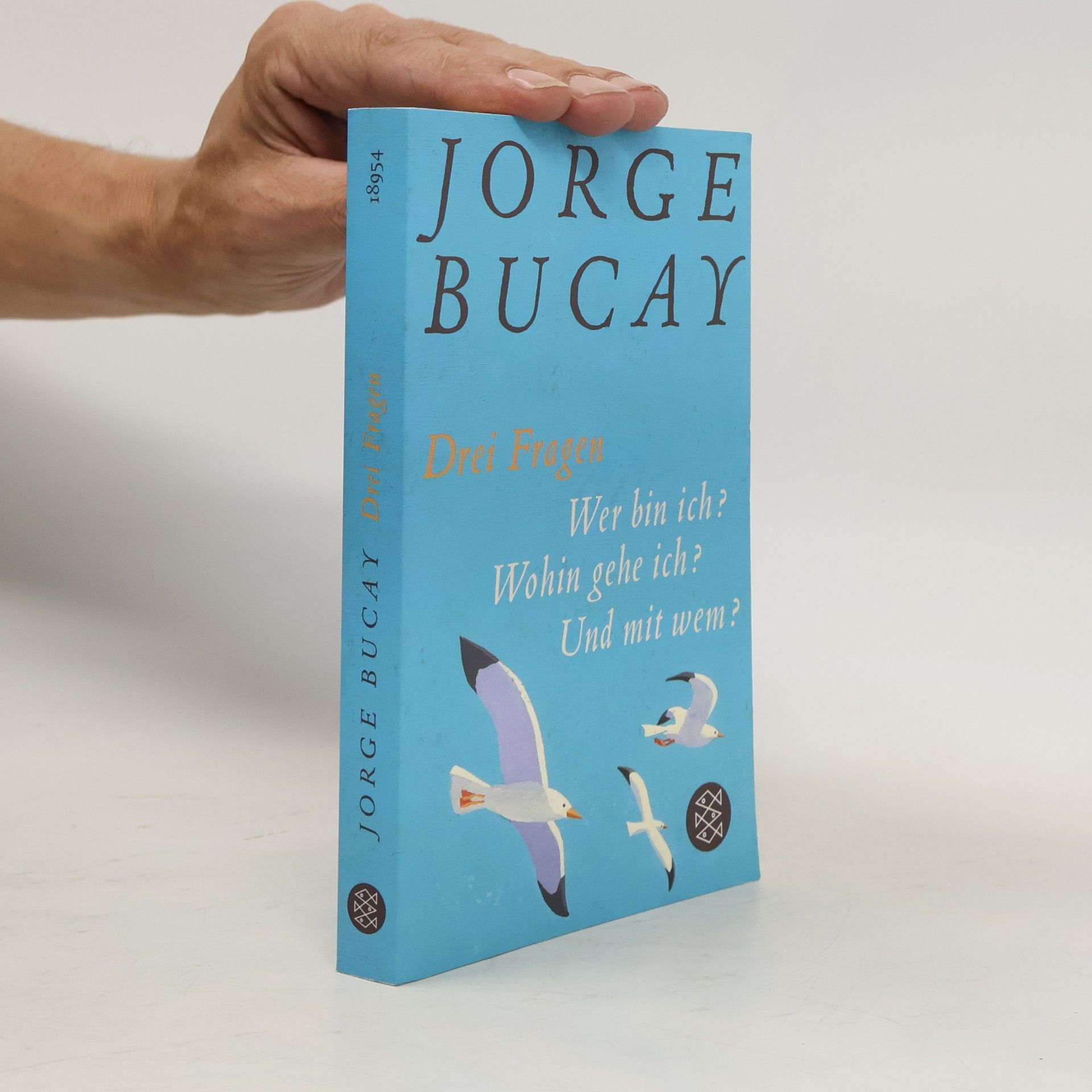 Jorge Bucay Drei Fragen