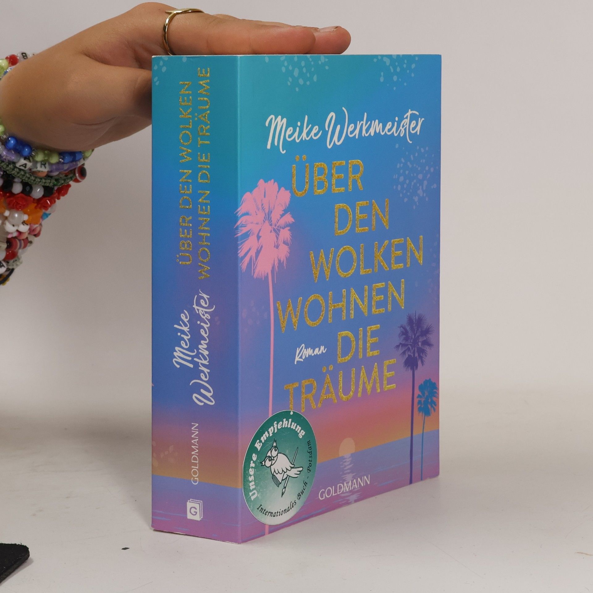 Meike Werkmeister Über den Wolken wohnen die Träume