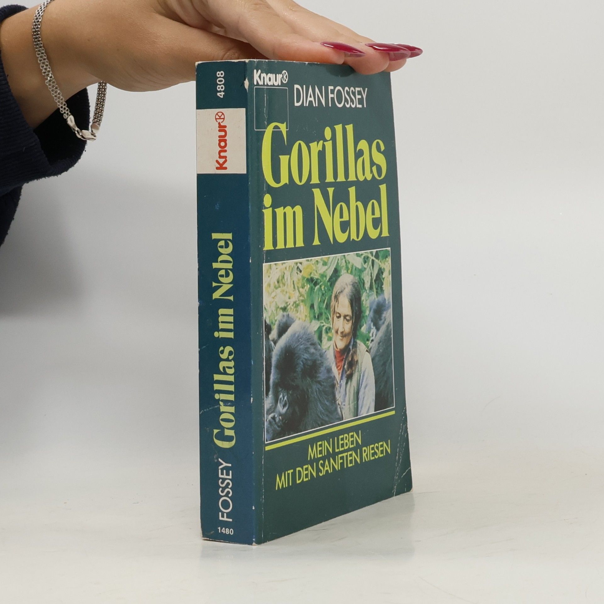 Dian Fossey Gorillas im Nebel