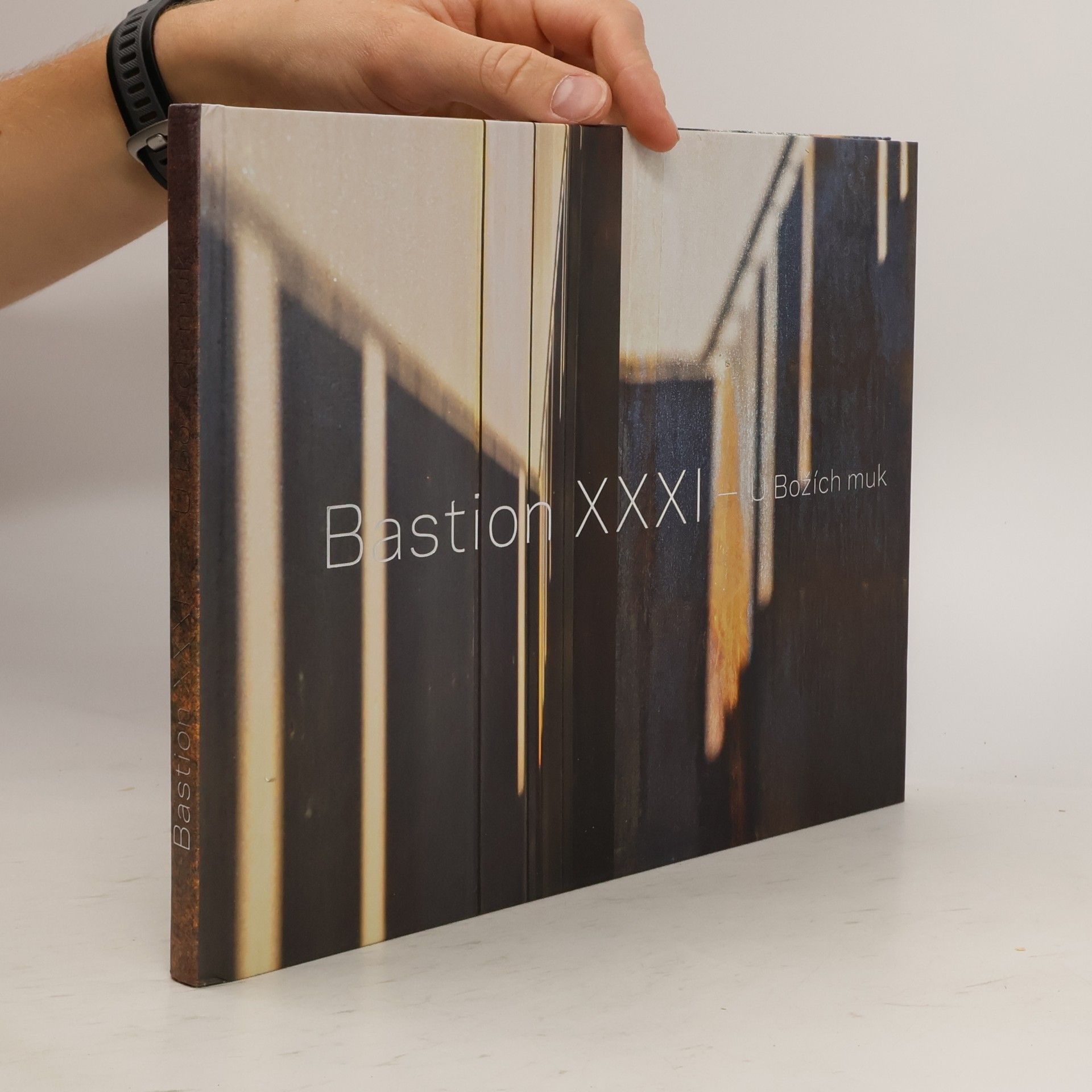 Miroslav Cikán Bastion XXXI - U Božích muk