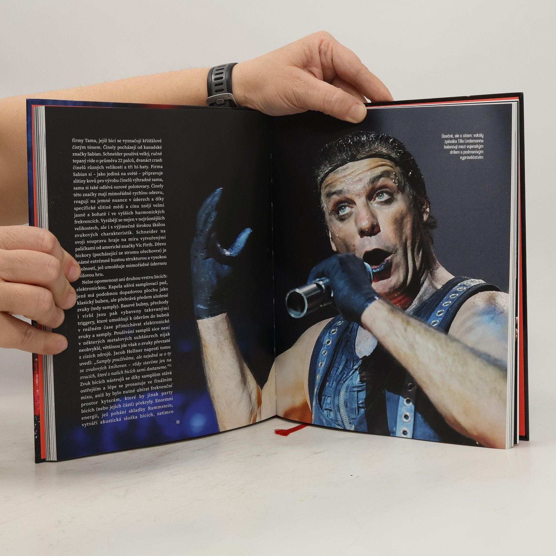 Peter Wicke Rammstein