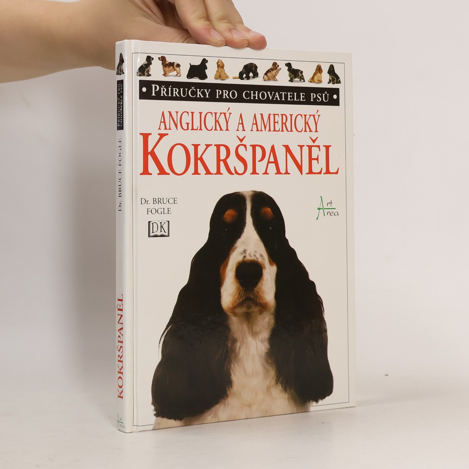 Anglický a americký kokršpaněl