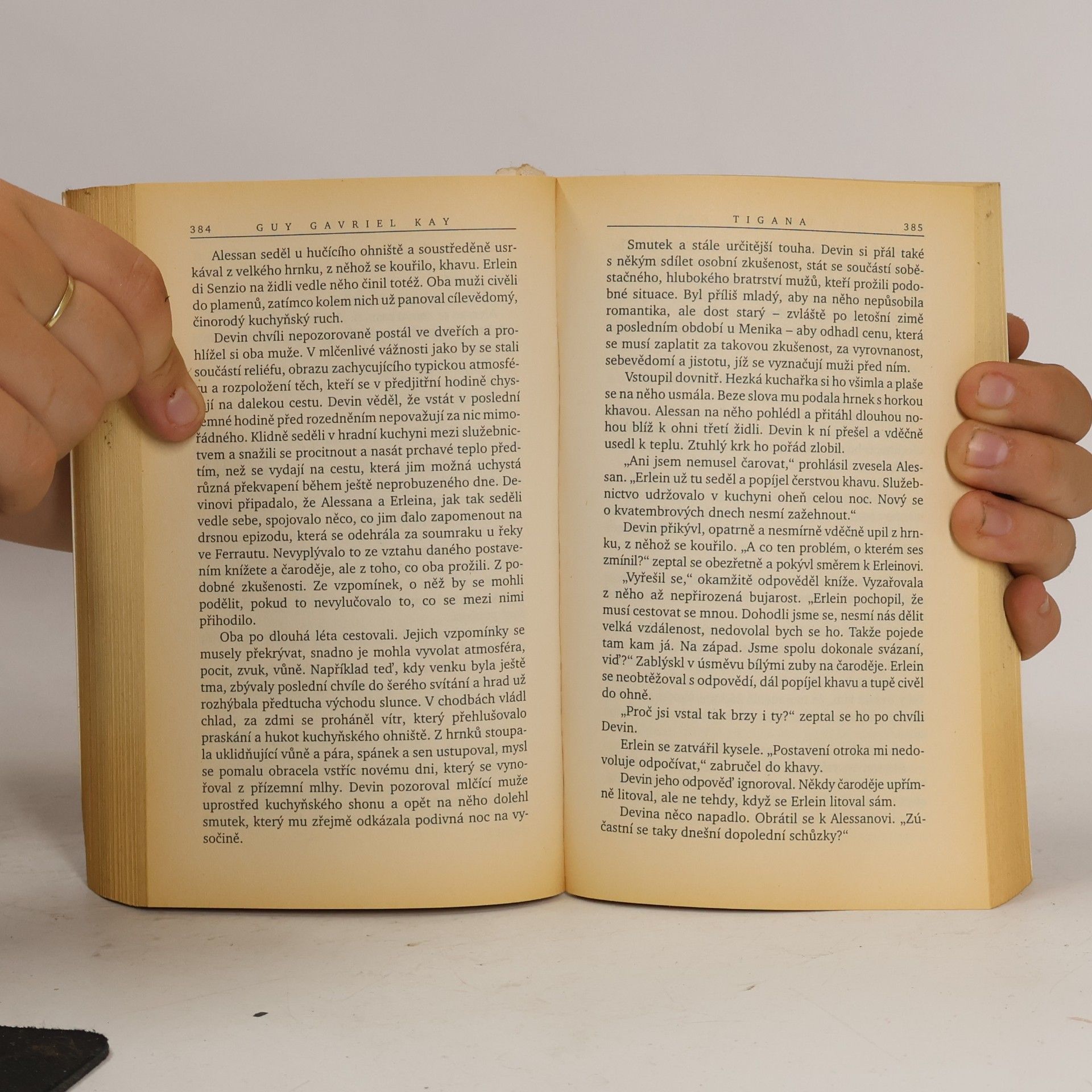 Guy Gavriel Kay Tigana