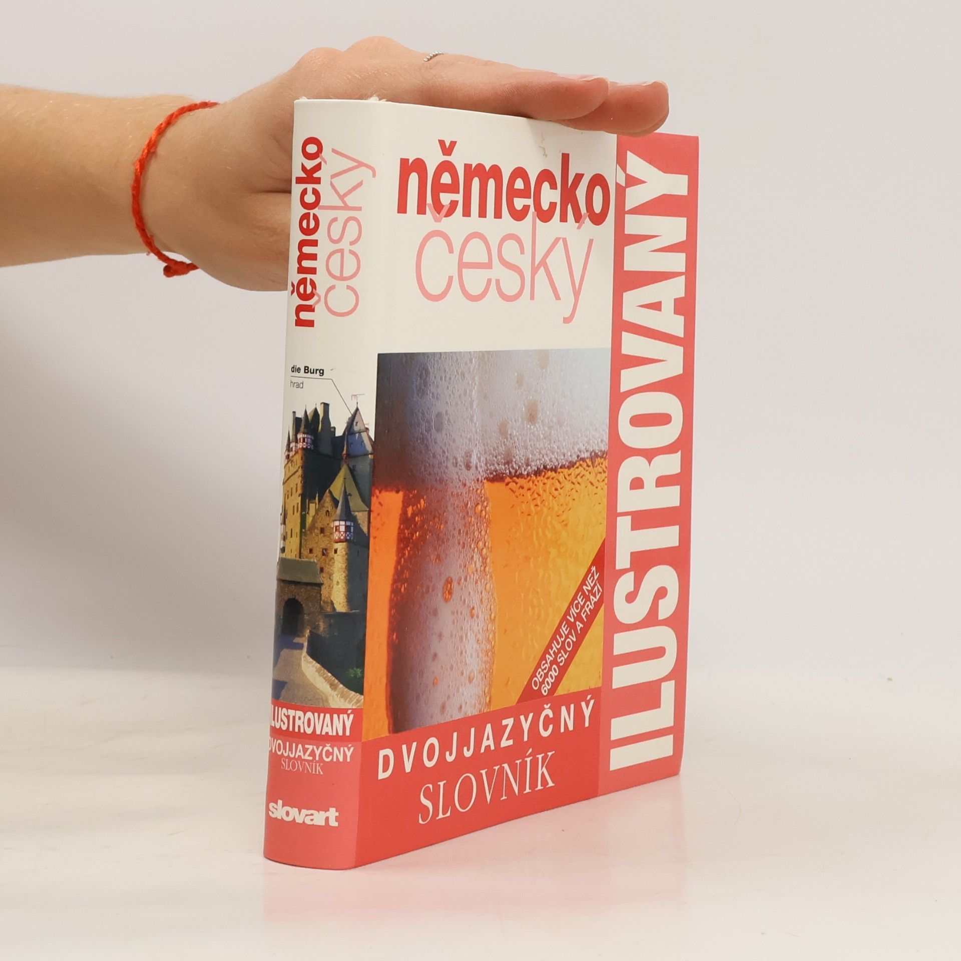 Zuzanna Bedřichová Německo český dvojjazyčný ilustrovaný slovník