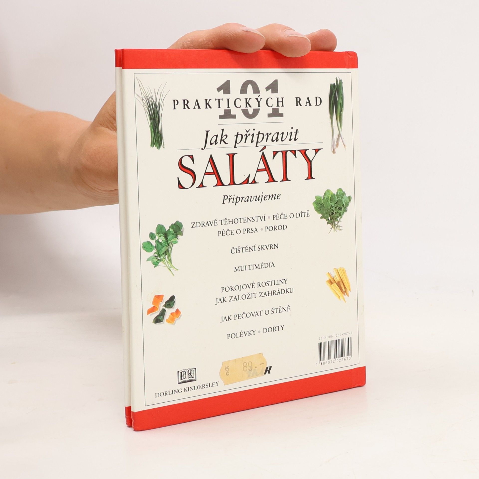 Anne Willan Jak připravit saláty