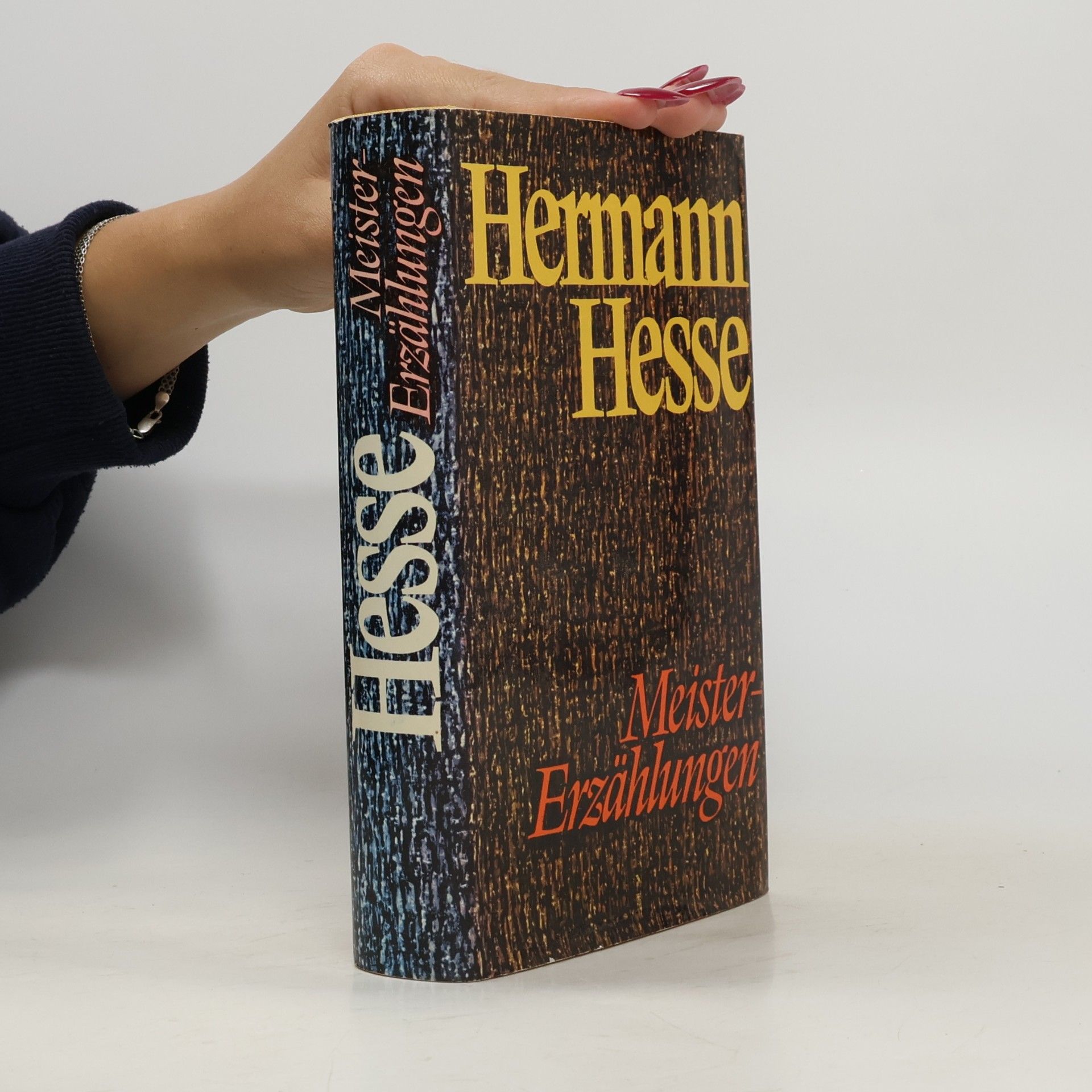 Hermann Hesse Meister-Erzählungen