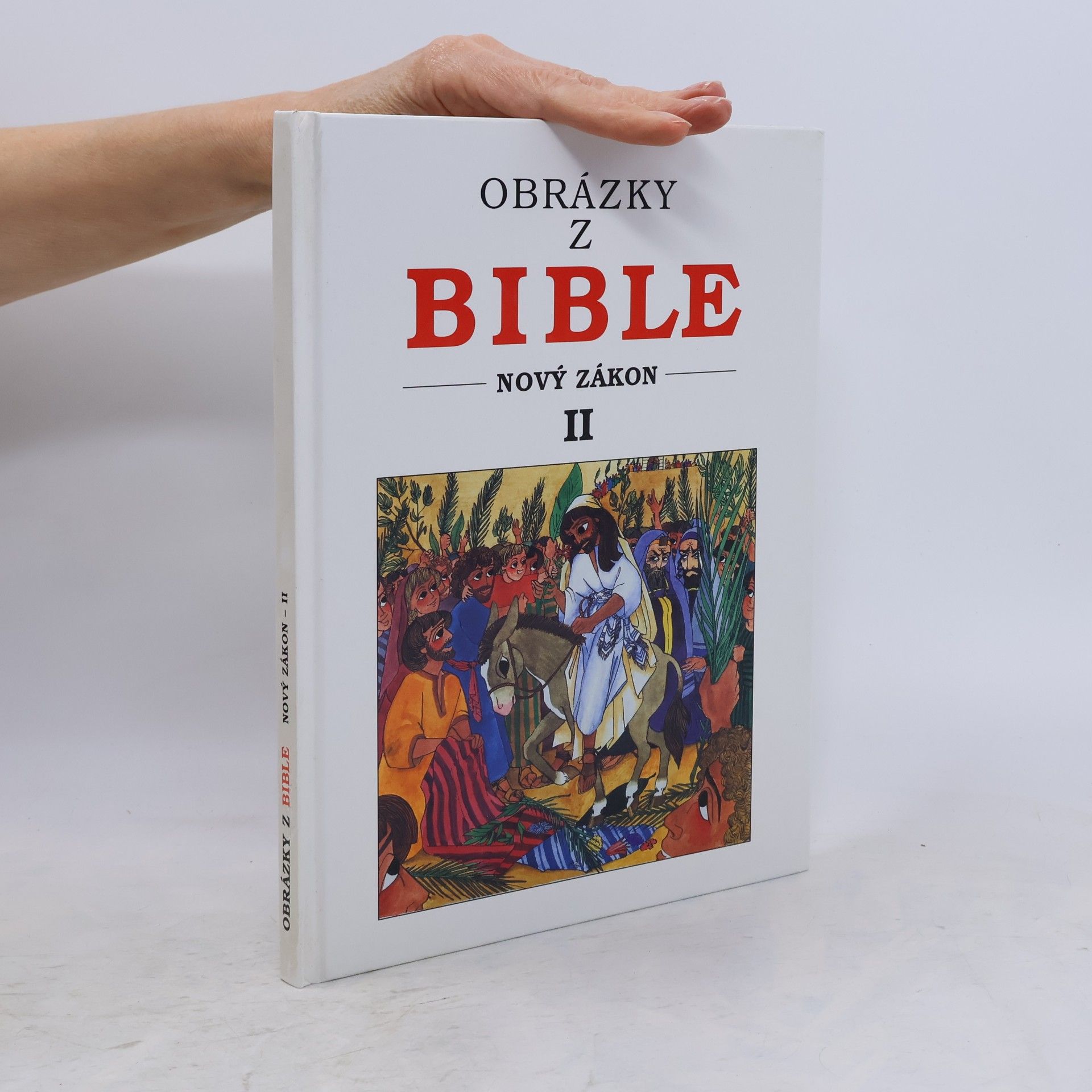Kolektiv autorů Obrázky z Bible