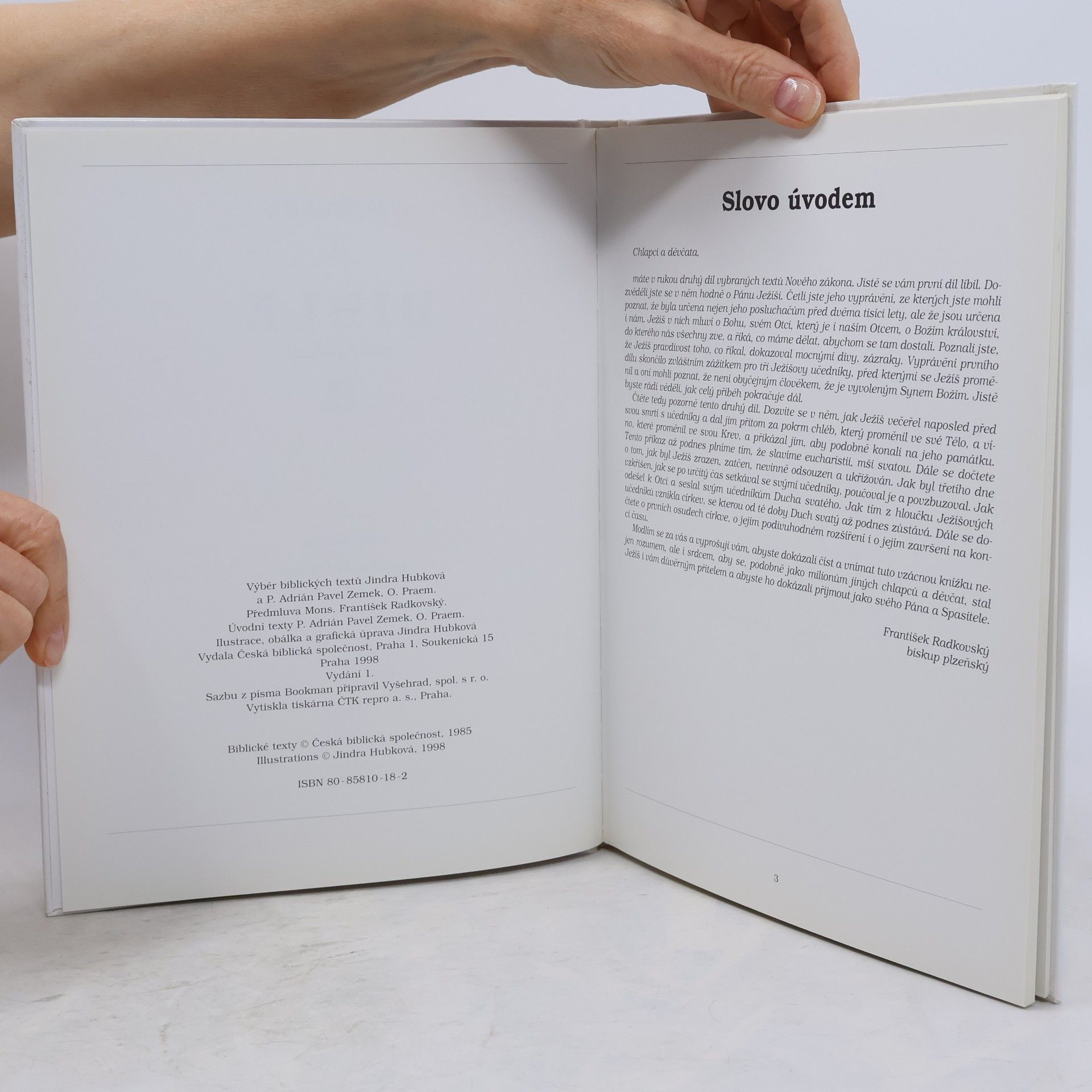 Autorenkollektiv Obrázky z Bible