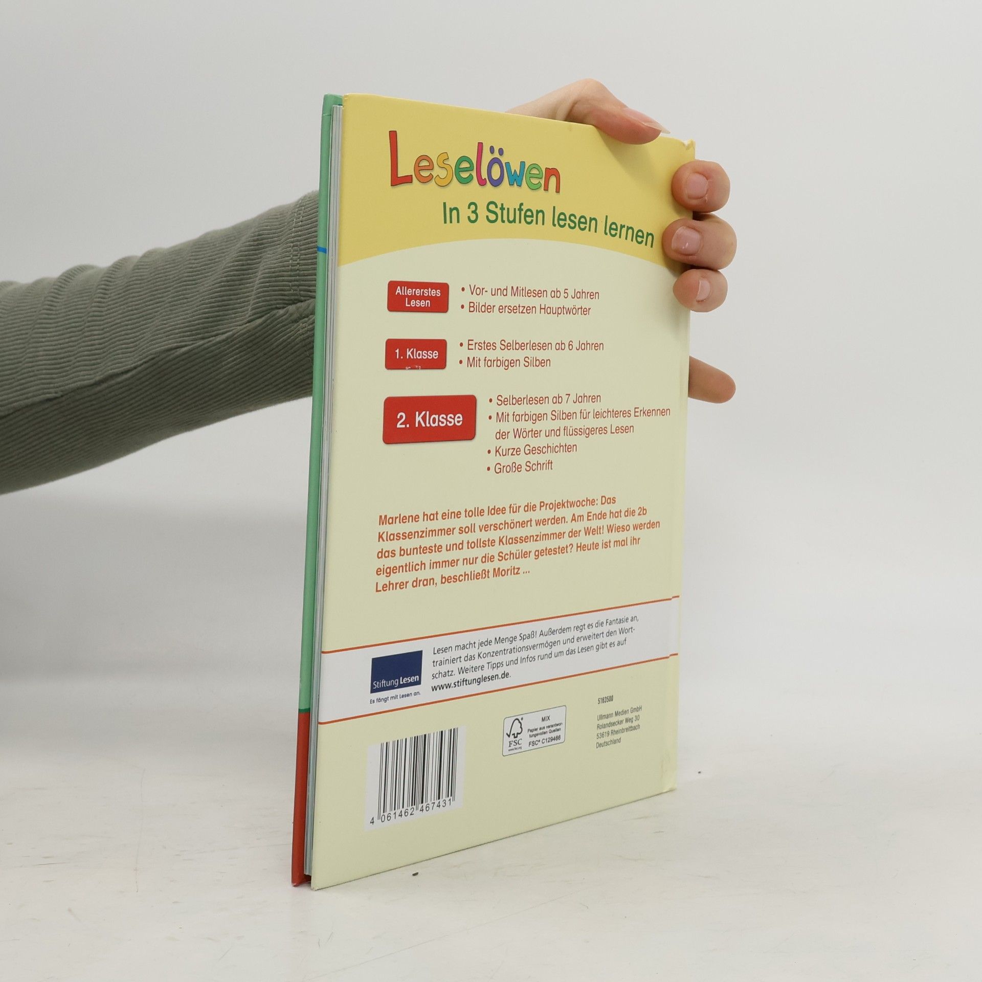 Autorenkollektiv Leselöwen Schulgeschichten