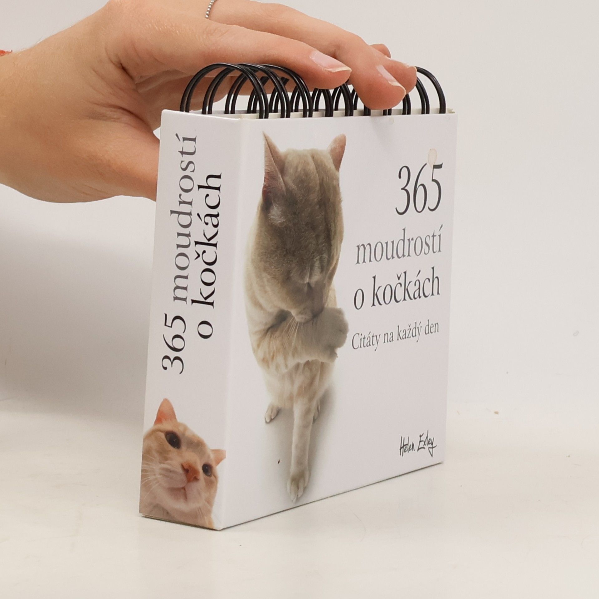 365 moudrostí o kočkách : citáty na každý den