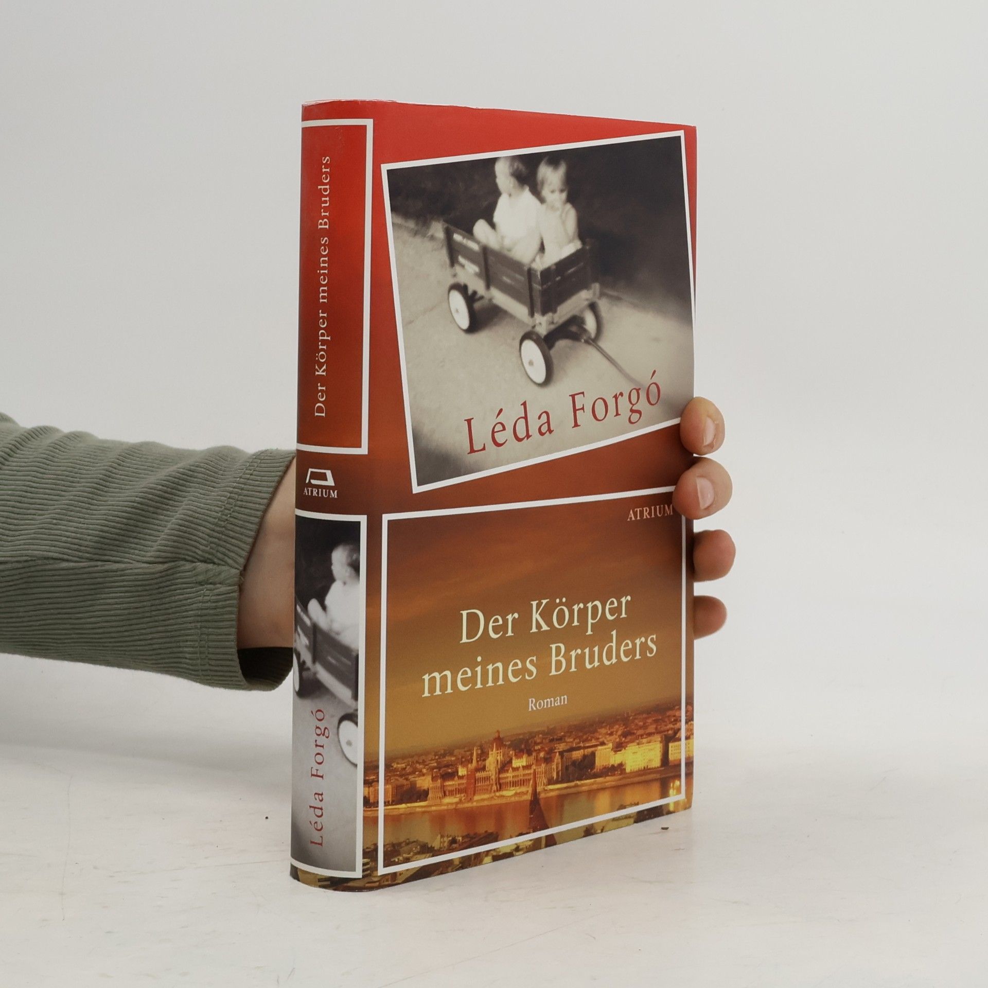 Le da Forgo Der Körper meines Bruders