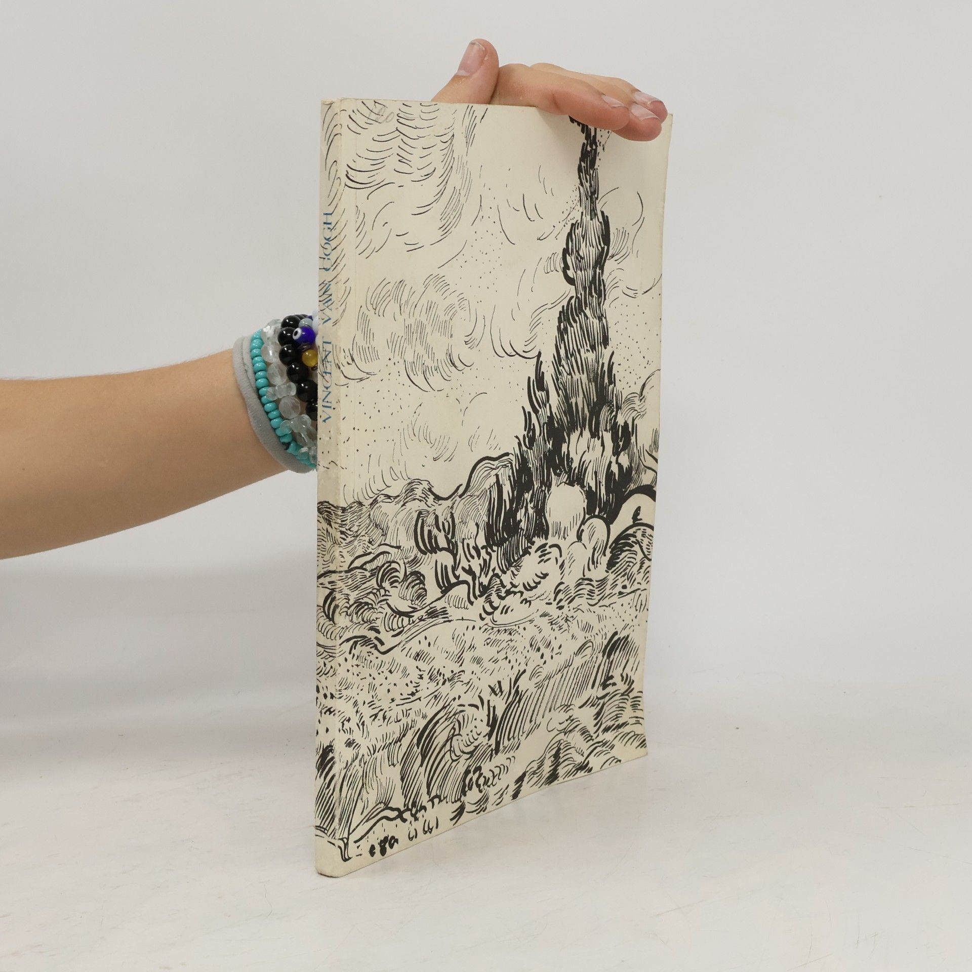 Kolektiv autorů Vincent van Gogh