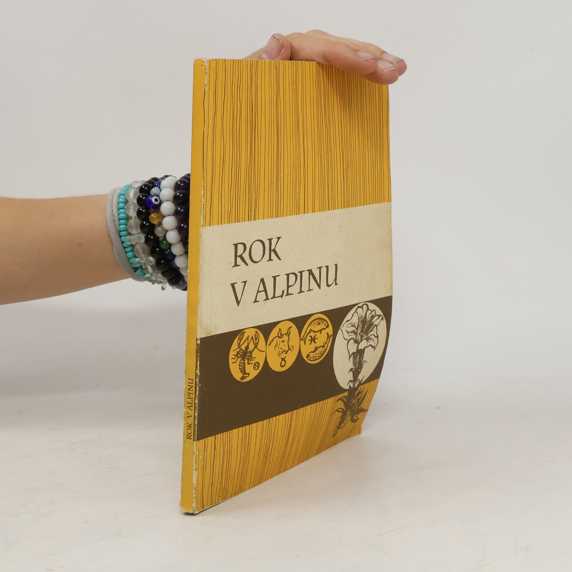 Autores varios Rok v Alpinu