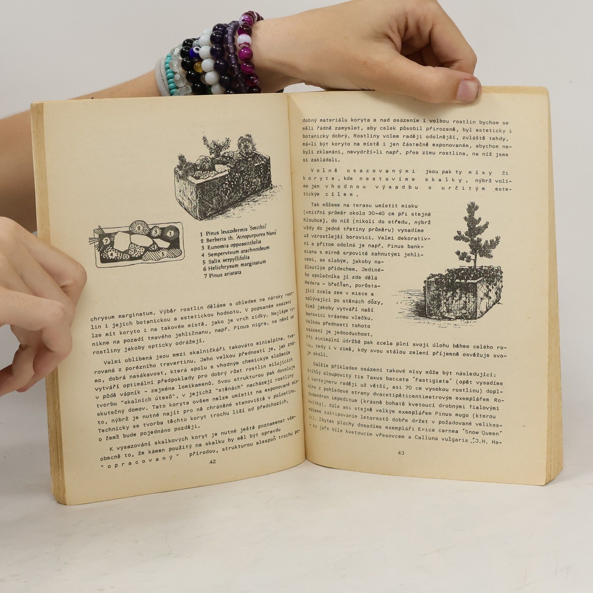 Autores varios Rok v Alpinu