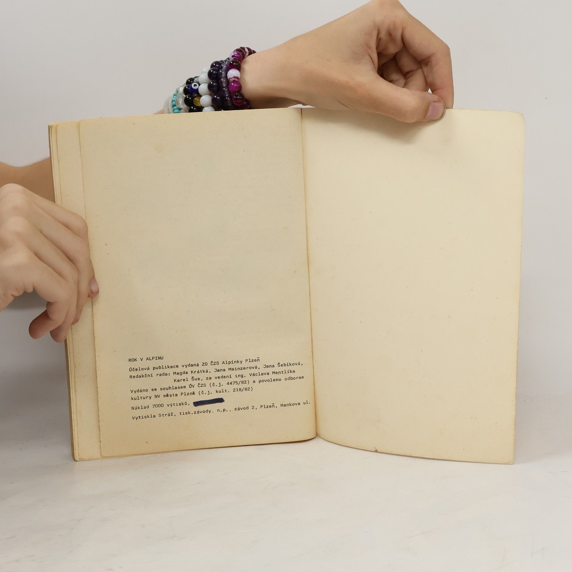 Autores varios Rok v Alpinu