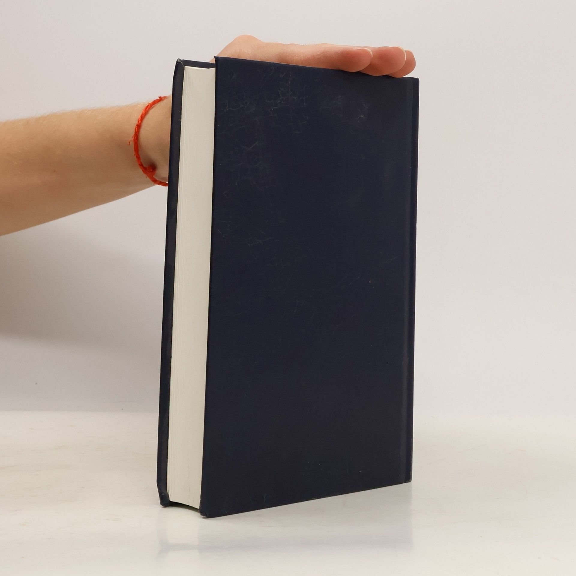 kolektiv Bible svatá aneb všecka Svatá písma Starého i Nového zákona