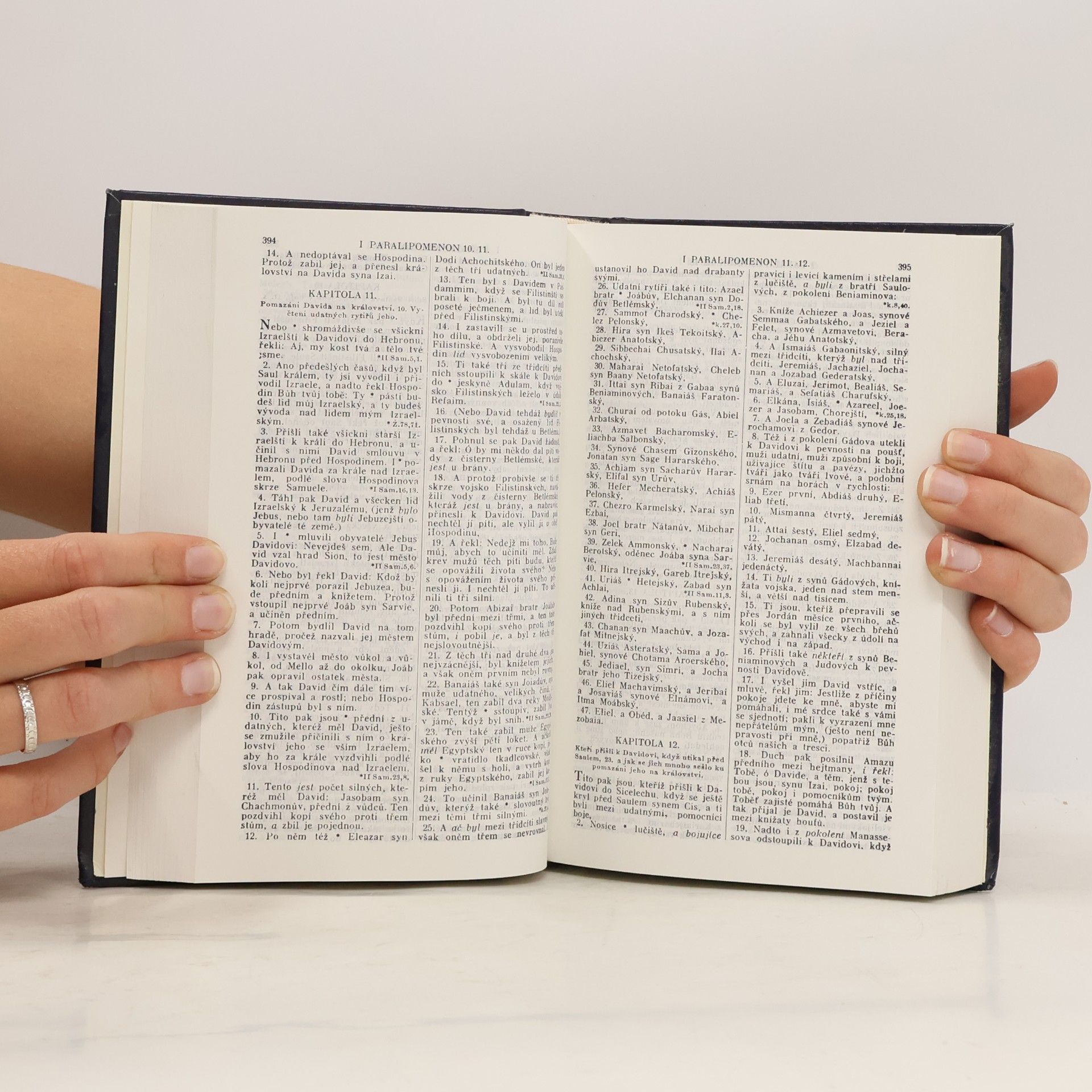 kolektiv Bible svatá aneb všecka Svatá písma Starého i Nového zákona