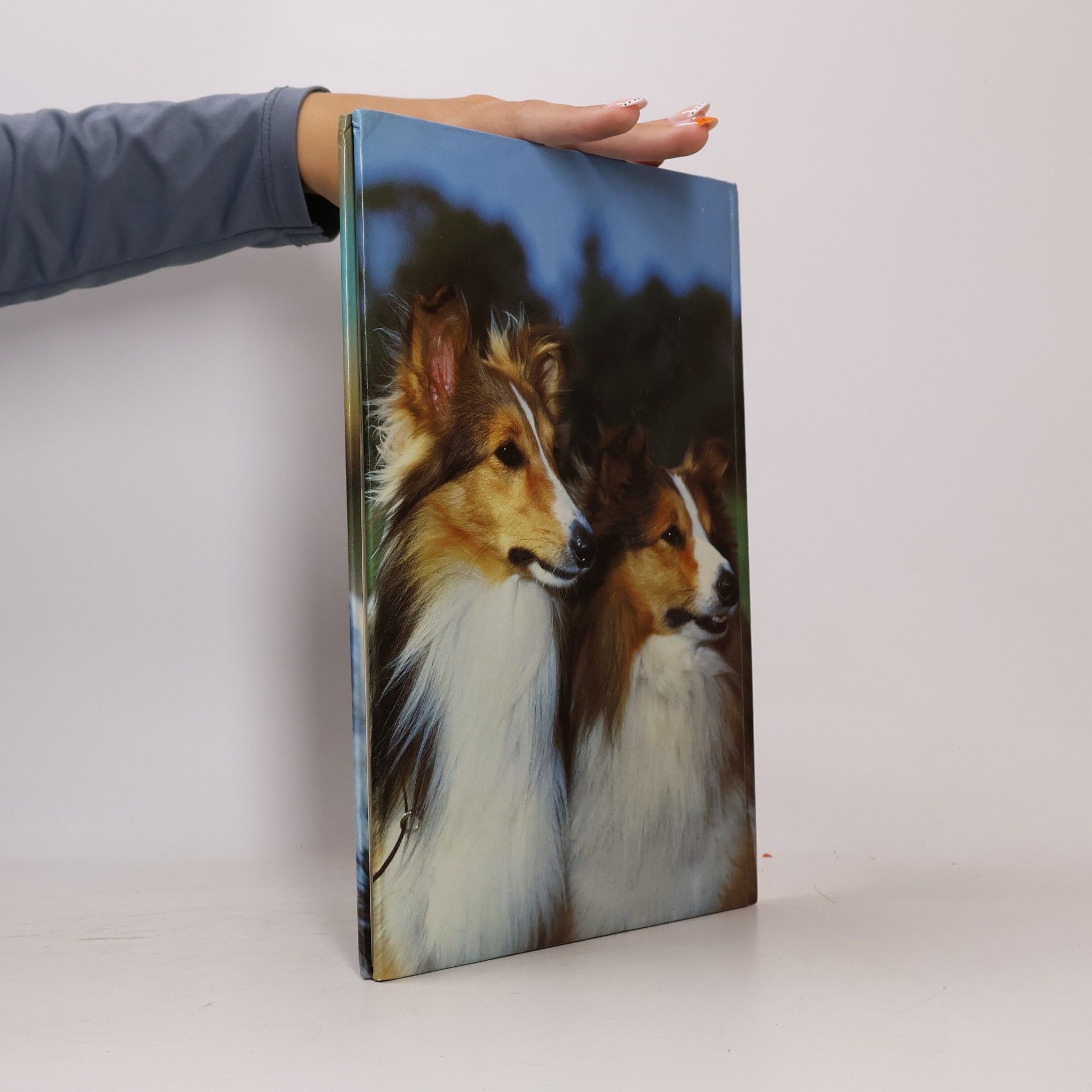 kolektiv Hunde