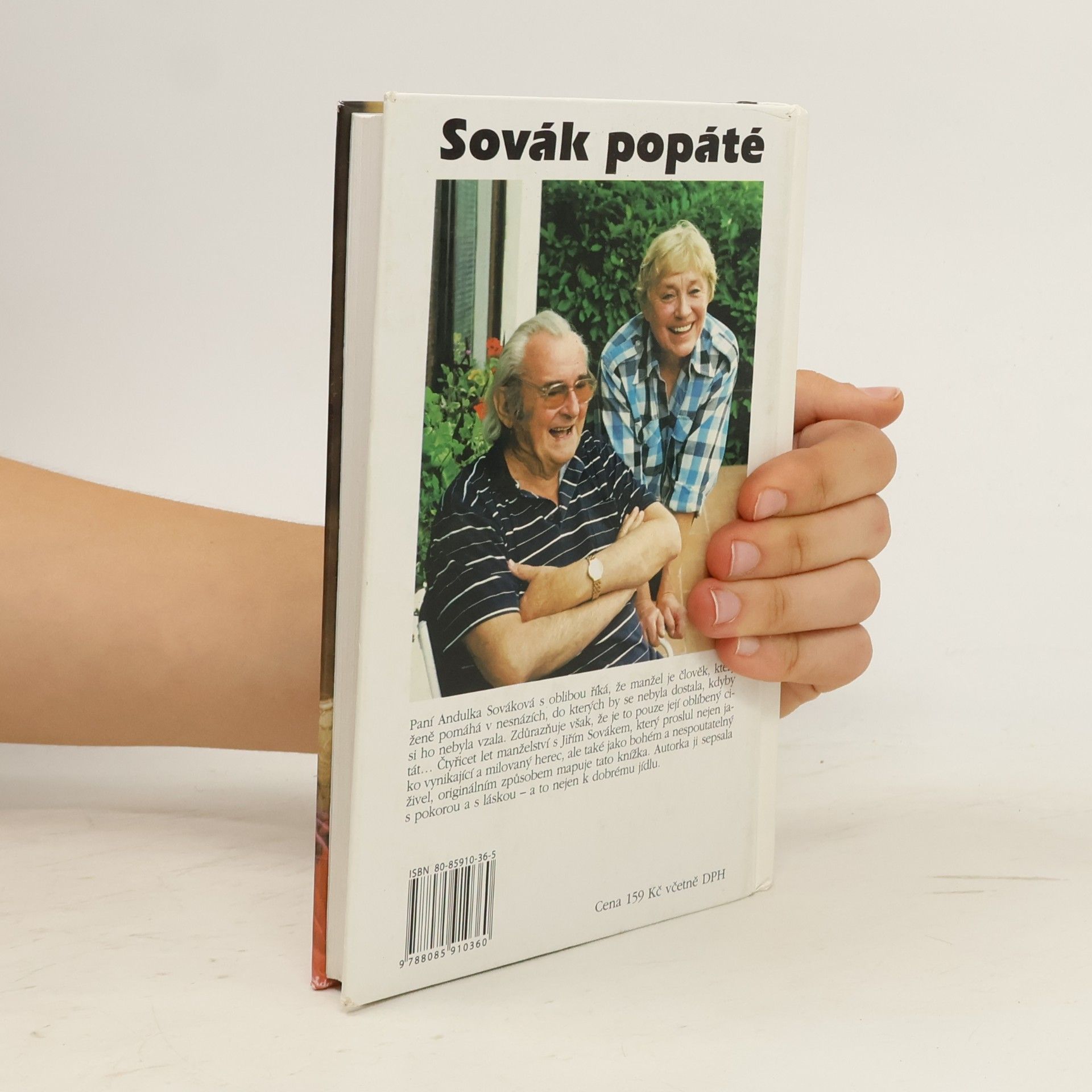 Anna Sováková Sovák popáté. Život se Sovákem, aneb, Uragán