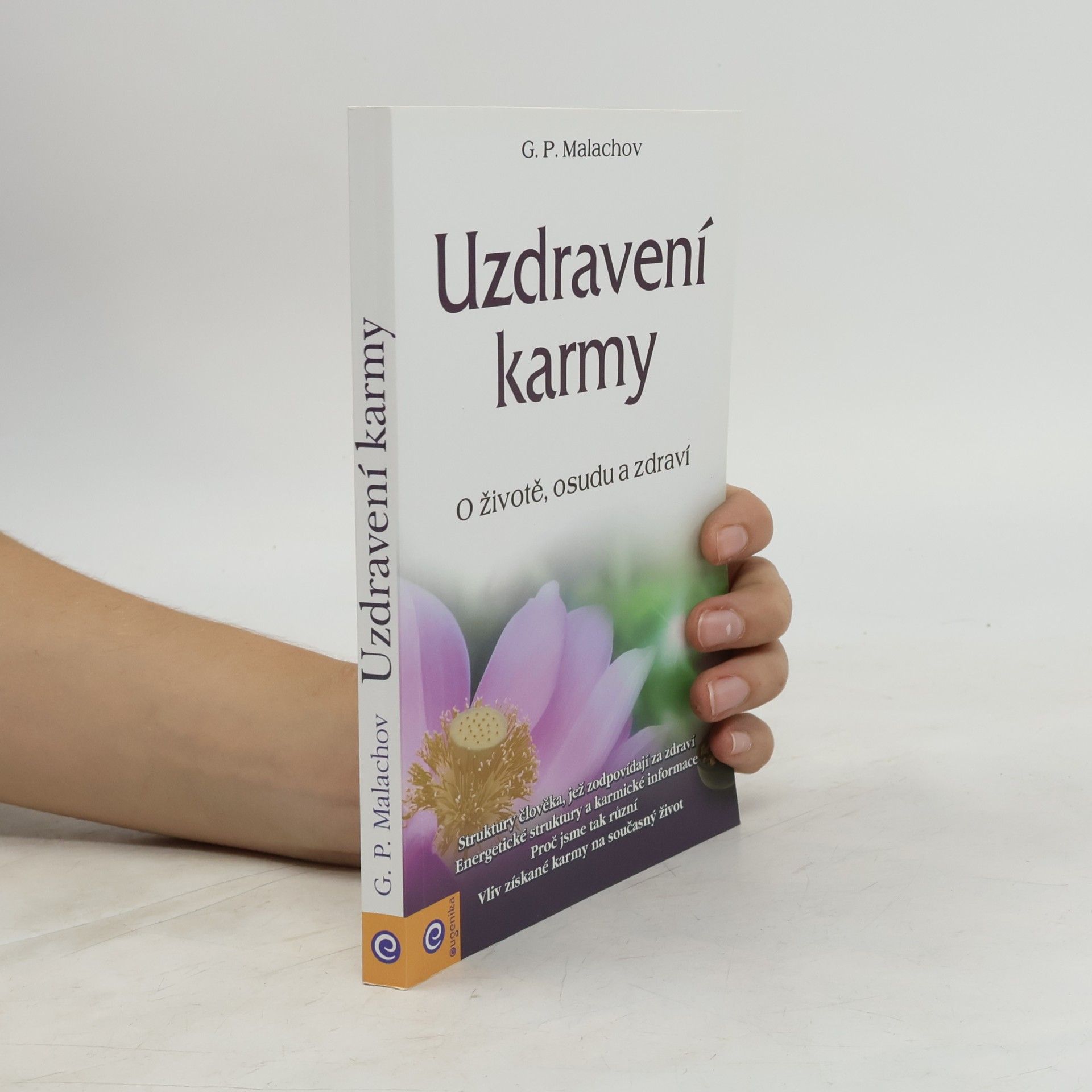 Uzdravení karmy