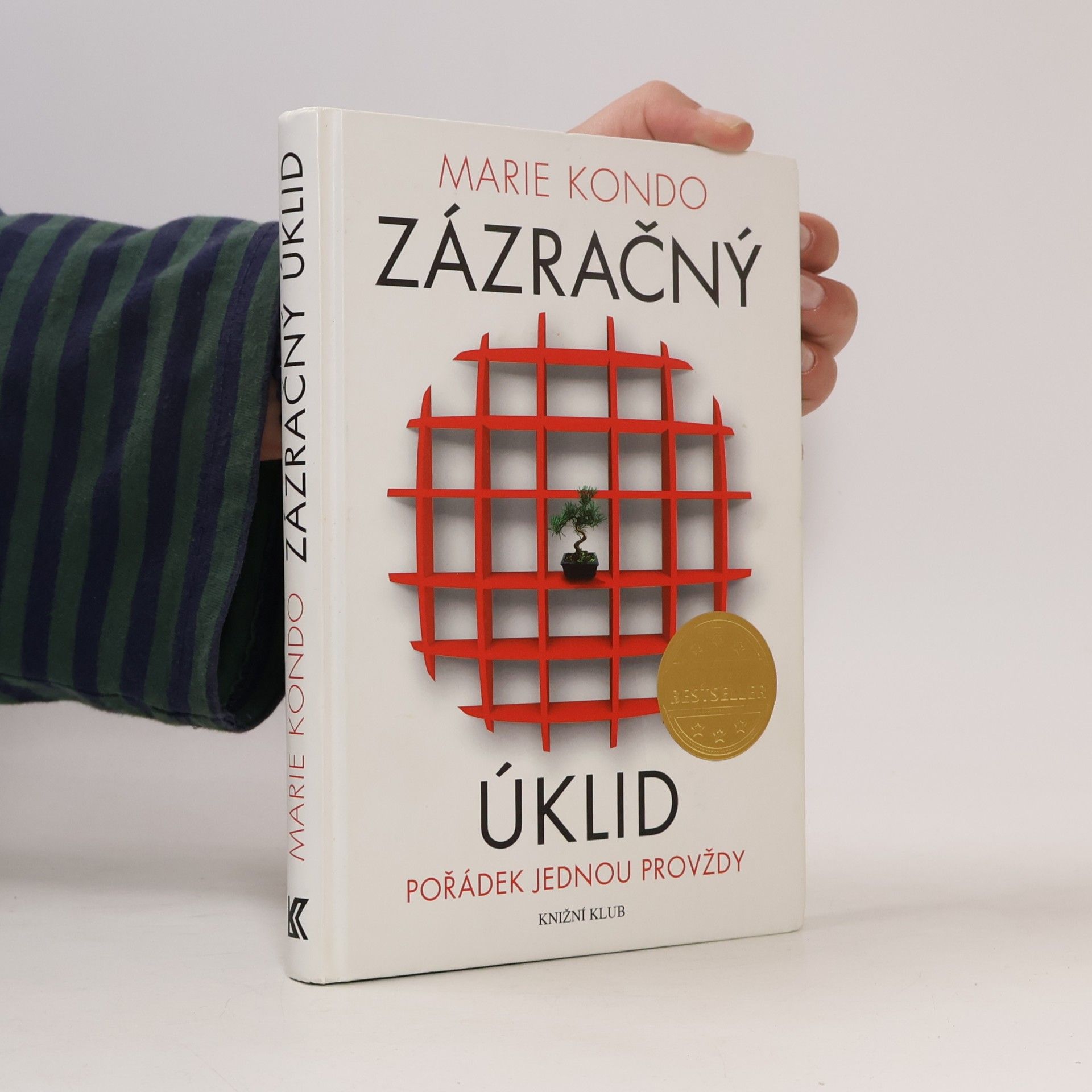 Zázračný úklid