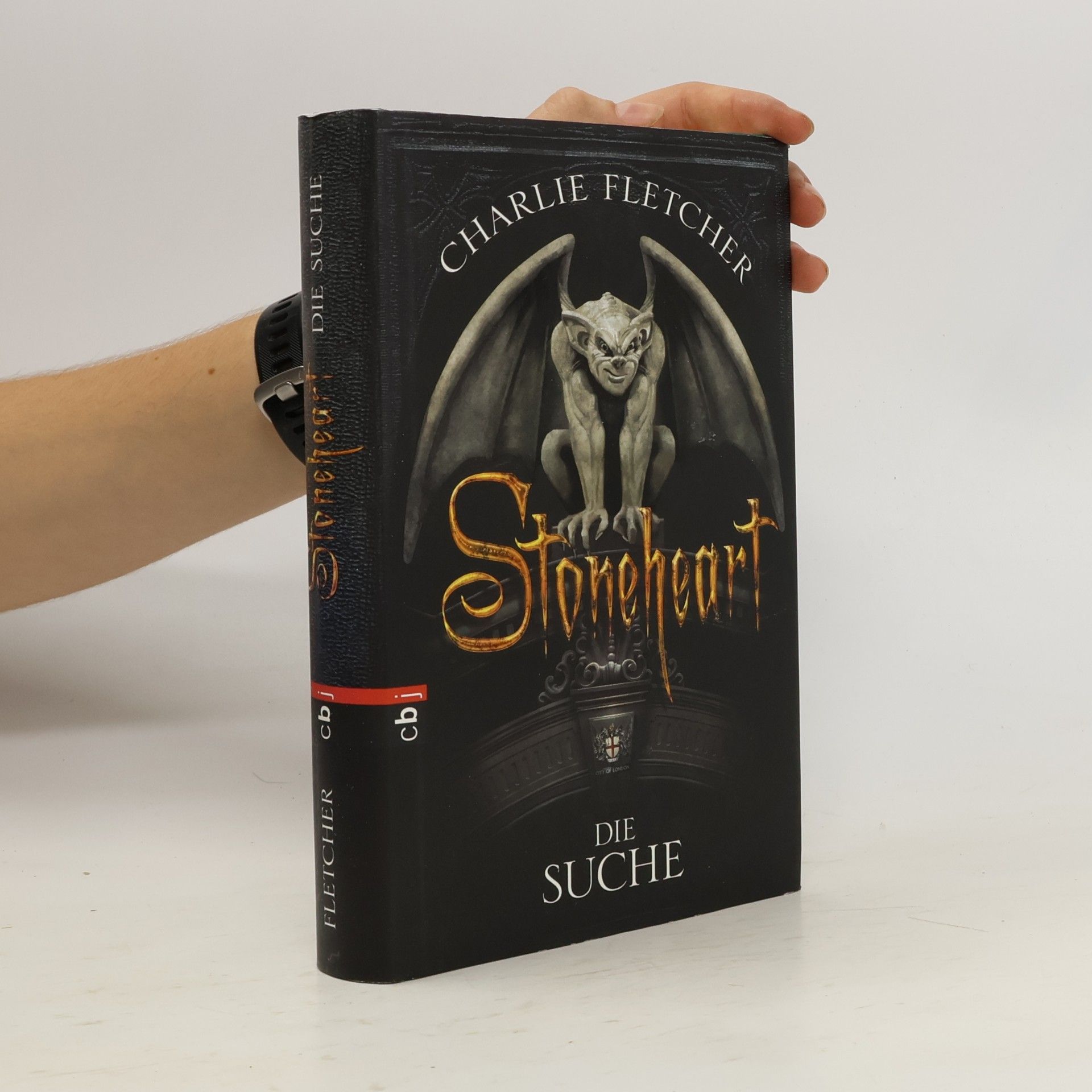 Charlie Fletcher Stoneheart. Die Suche