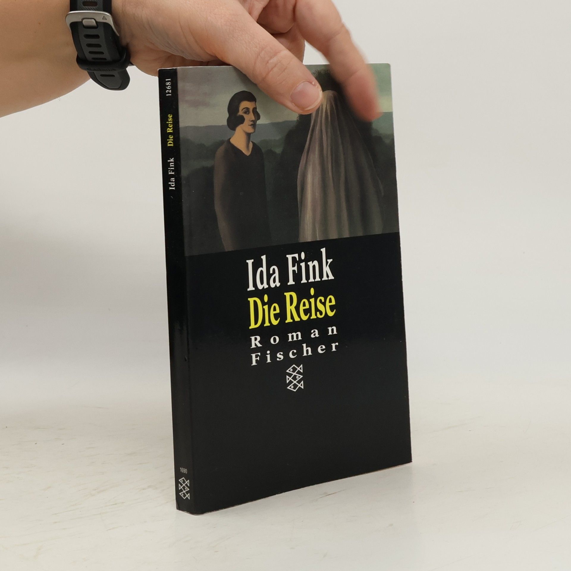 Ida Fink Die Reise