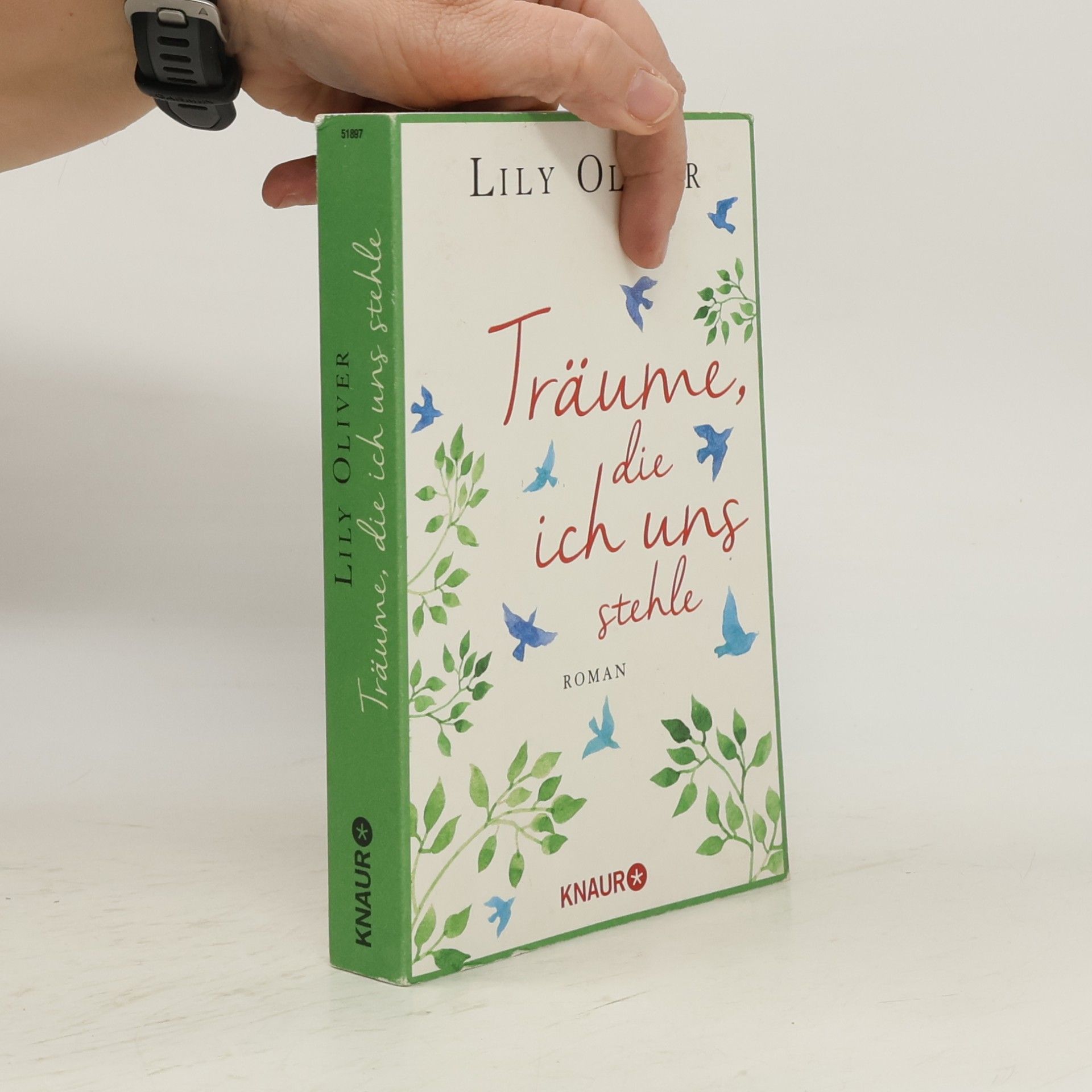 Träume, die ich uns stehle