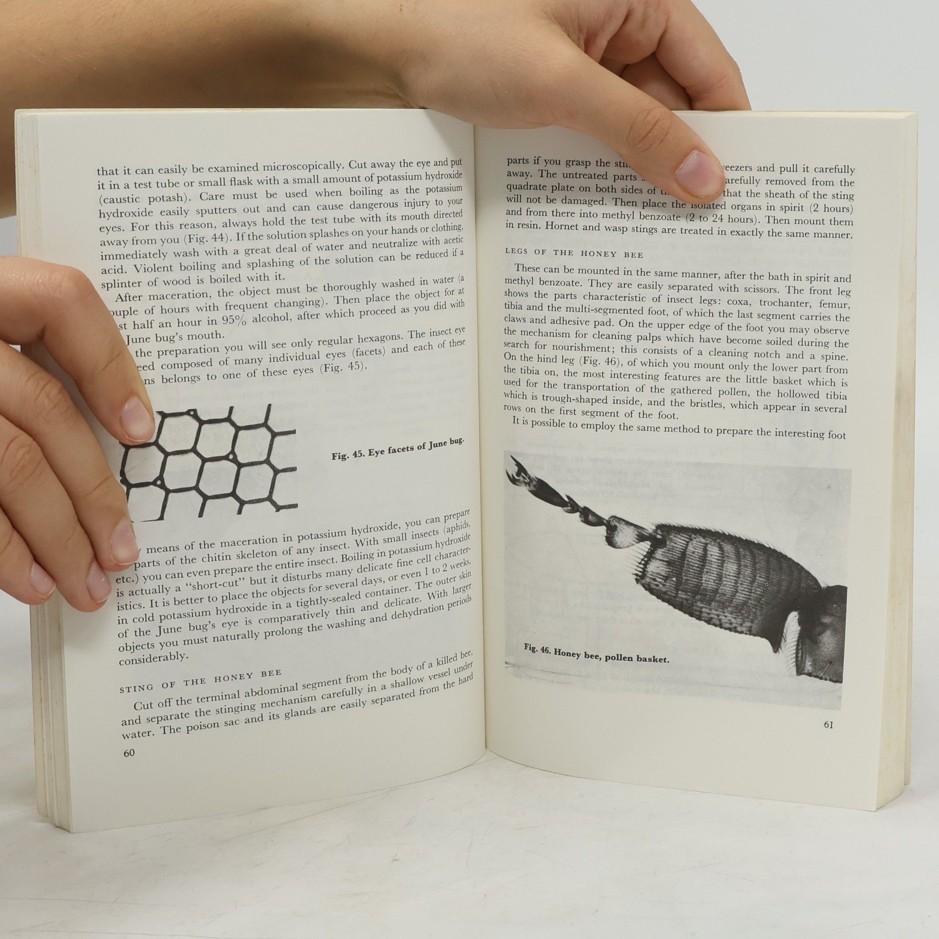 Georg Stehli The Microscope and How to Use It
