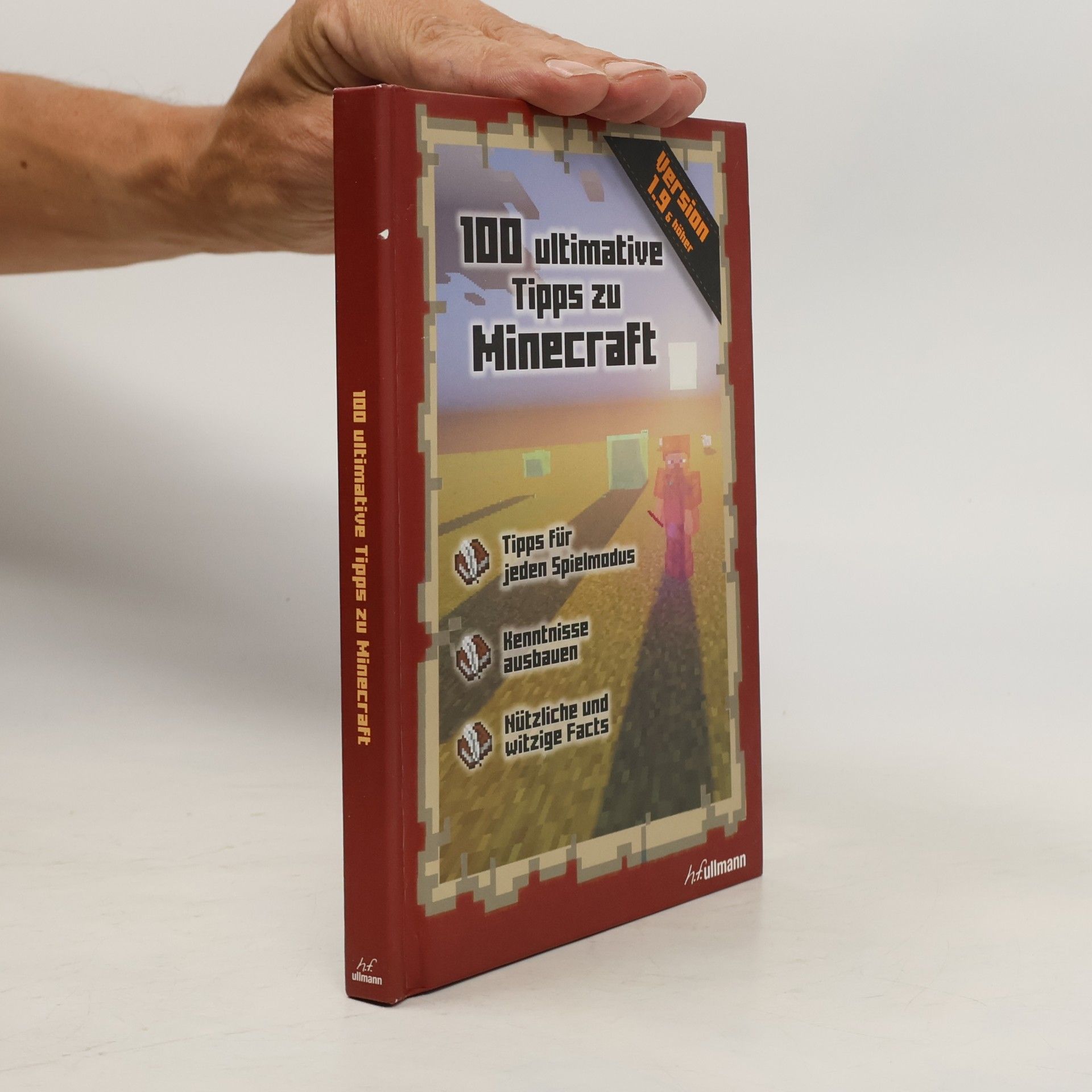 Stéphane Pilet 100 ultimative Tipps zu Minecraft
