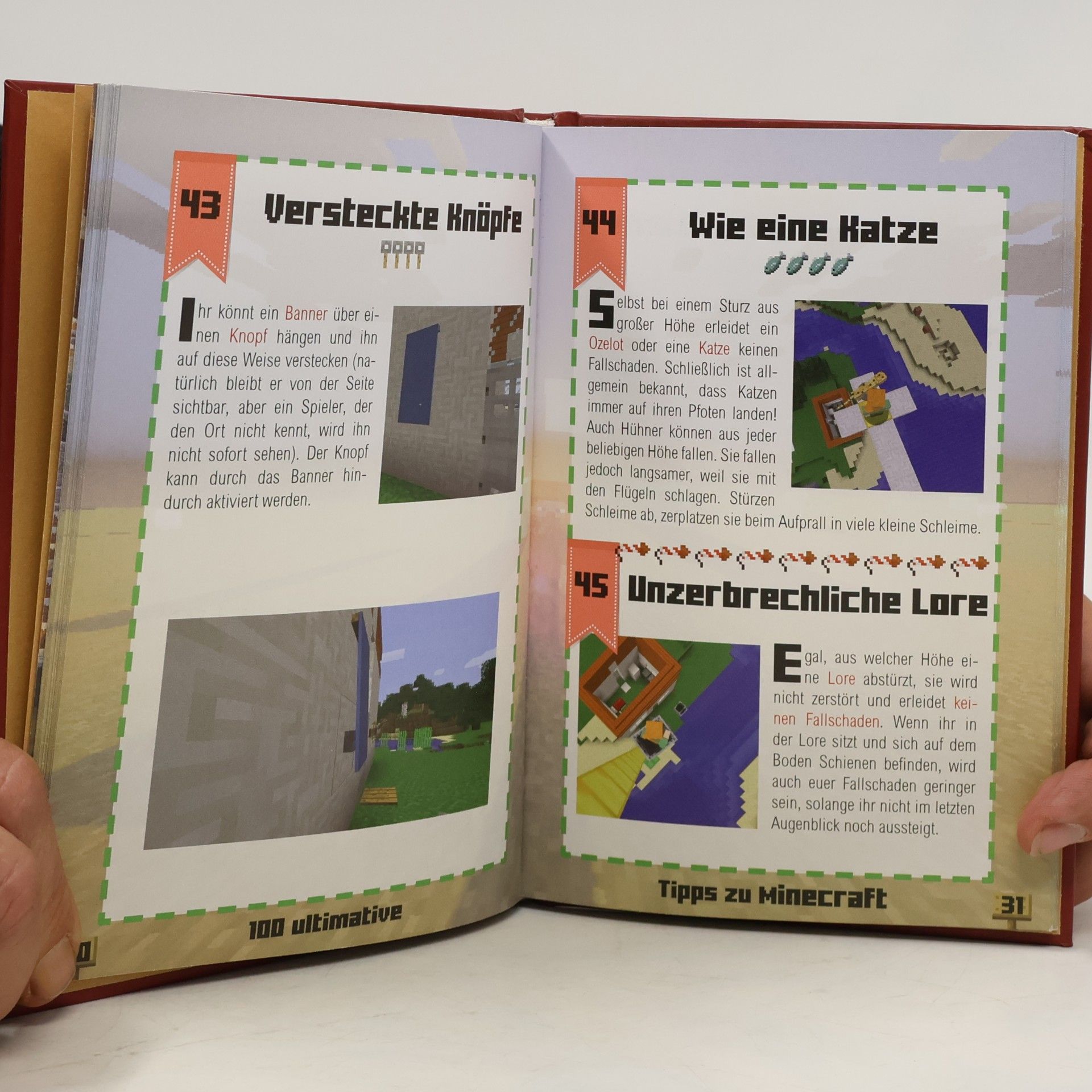 Stéphane Pilet 100 ultimative Tipps zu Minecraft