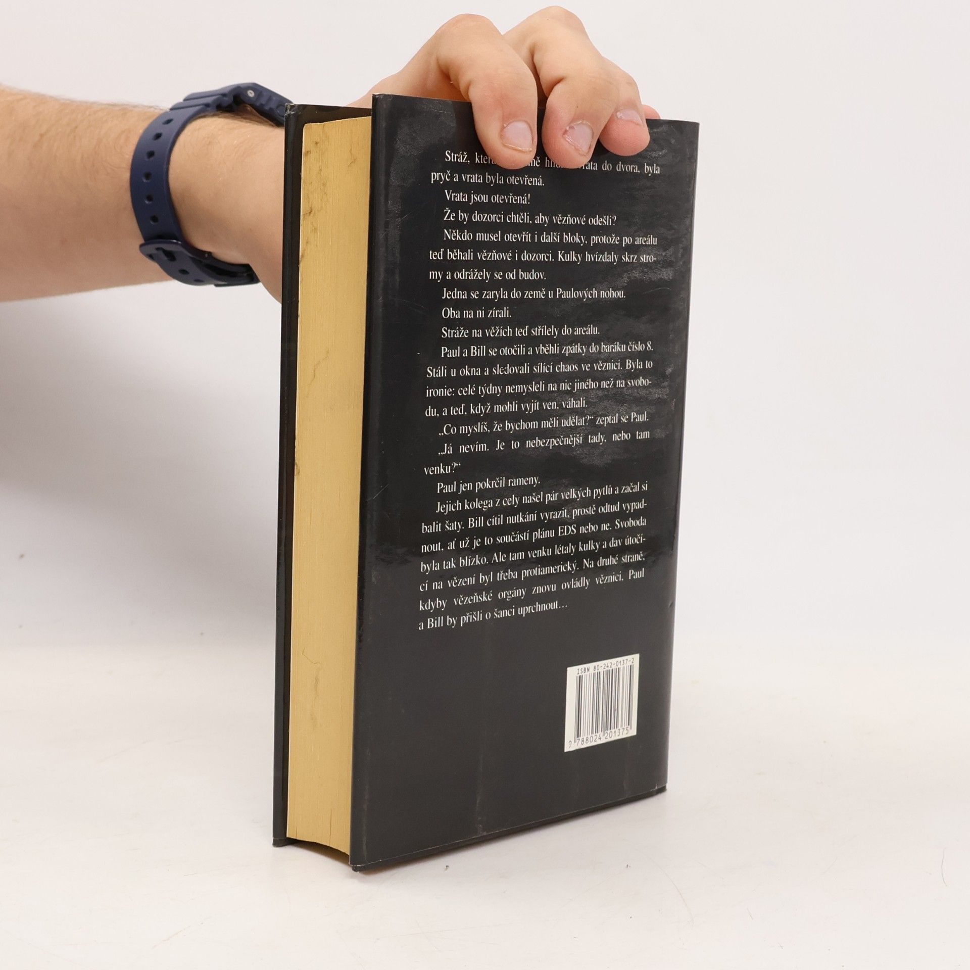 Ken Follett Na křídlech orlů