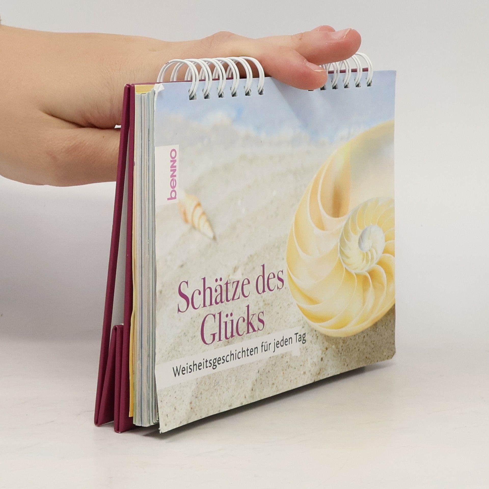 Schätze des Glücks, Aufstellbuch