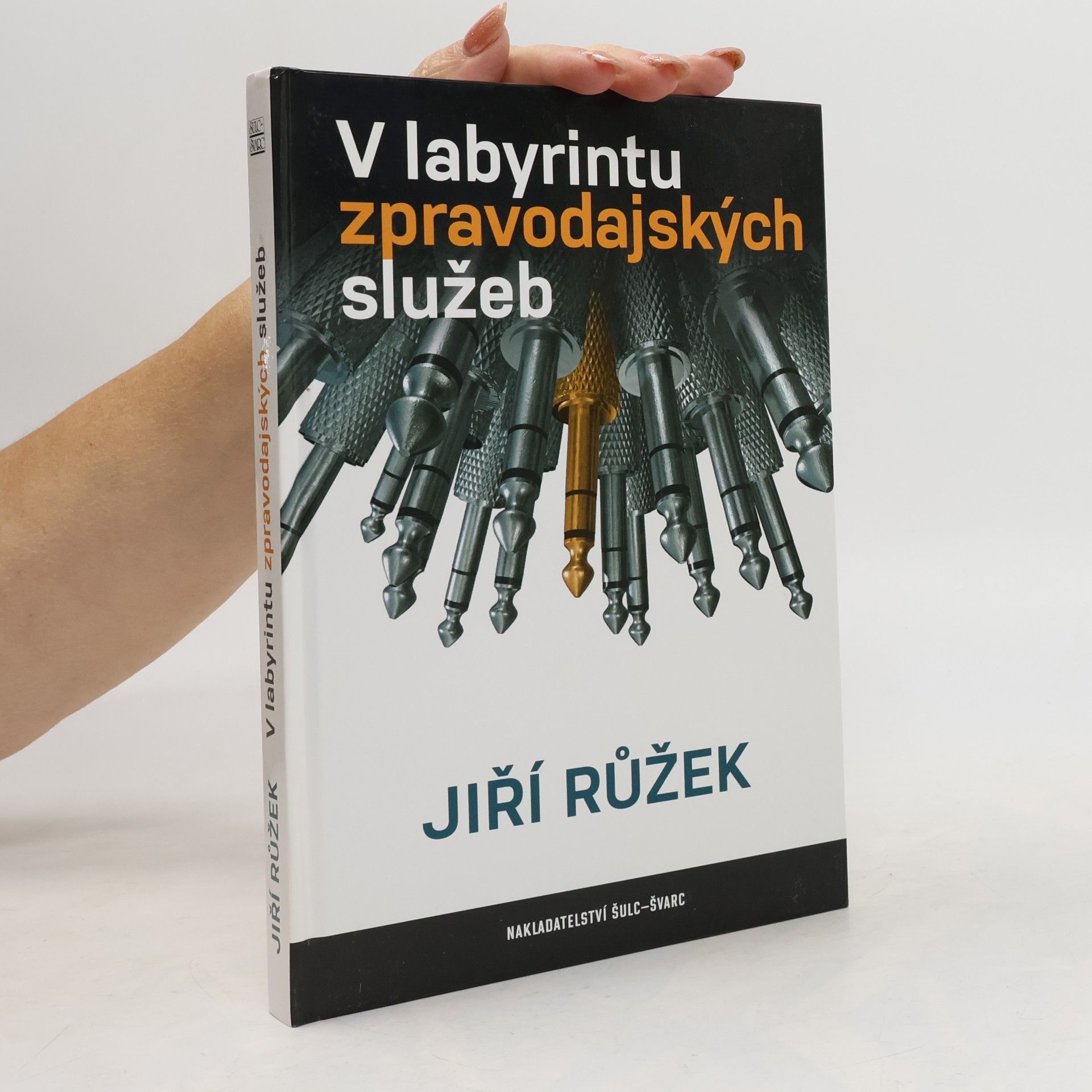 Jiří Růžek V labyrintu zpravodajských služeb