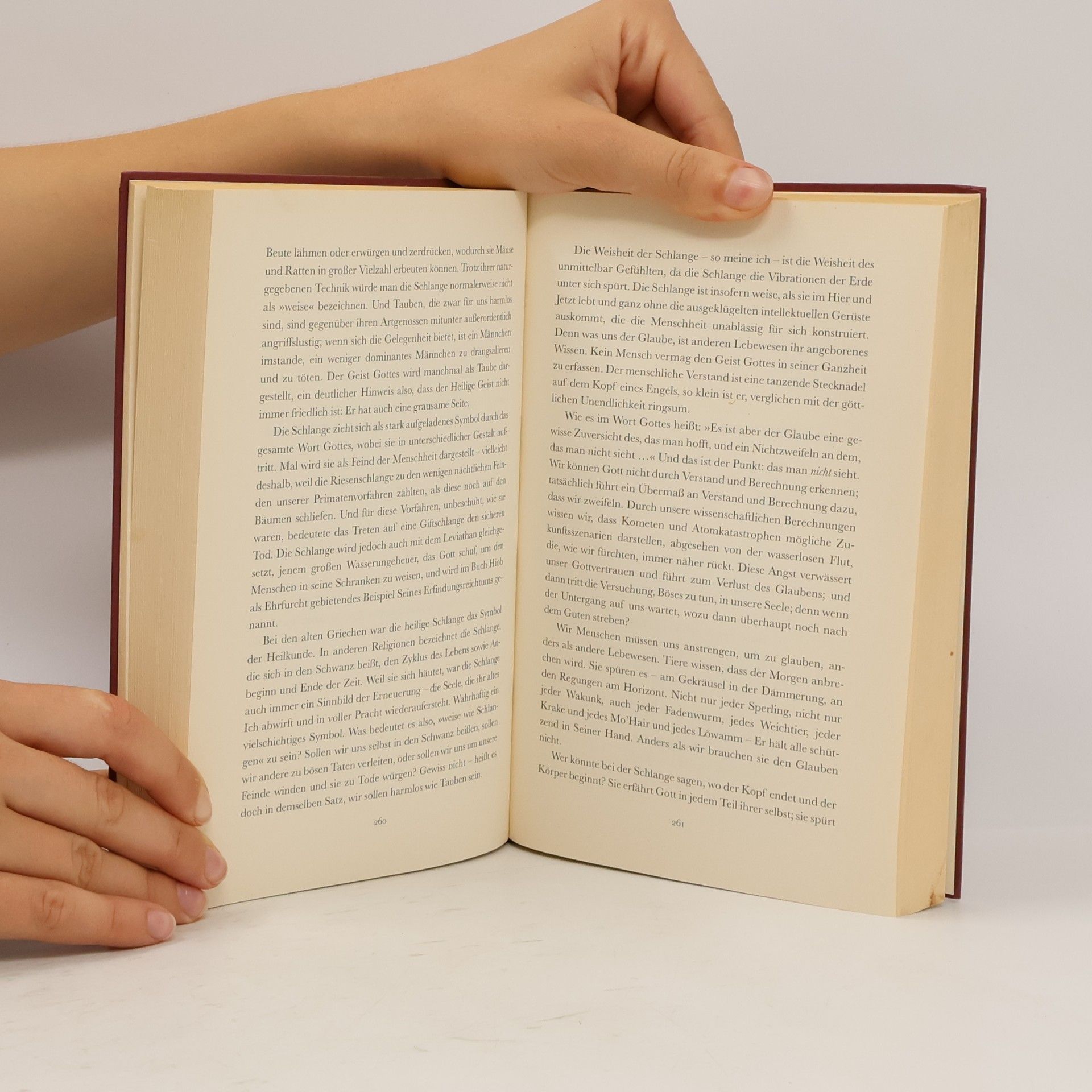 Margaret Atwood Das Jahr der Flut
