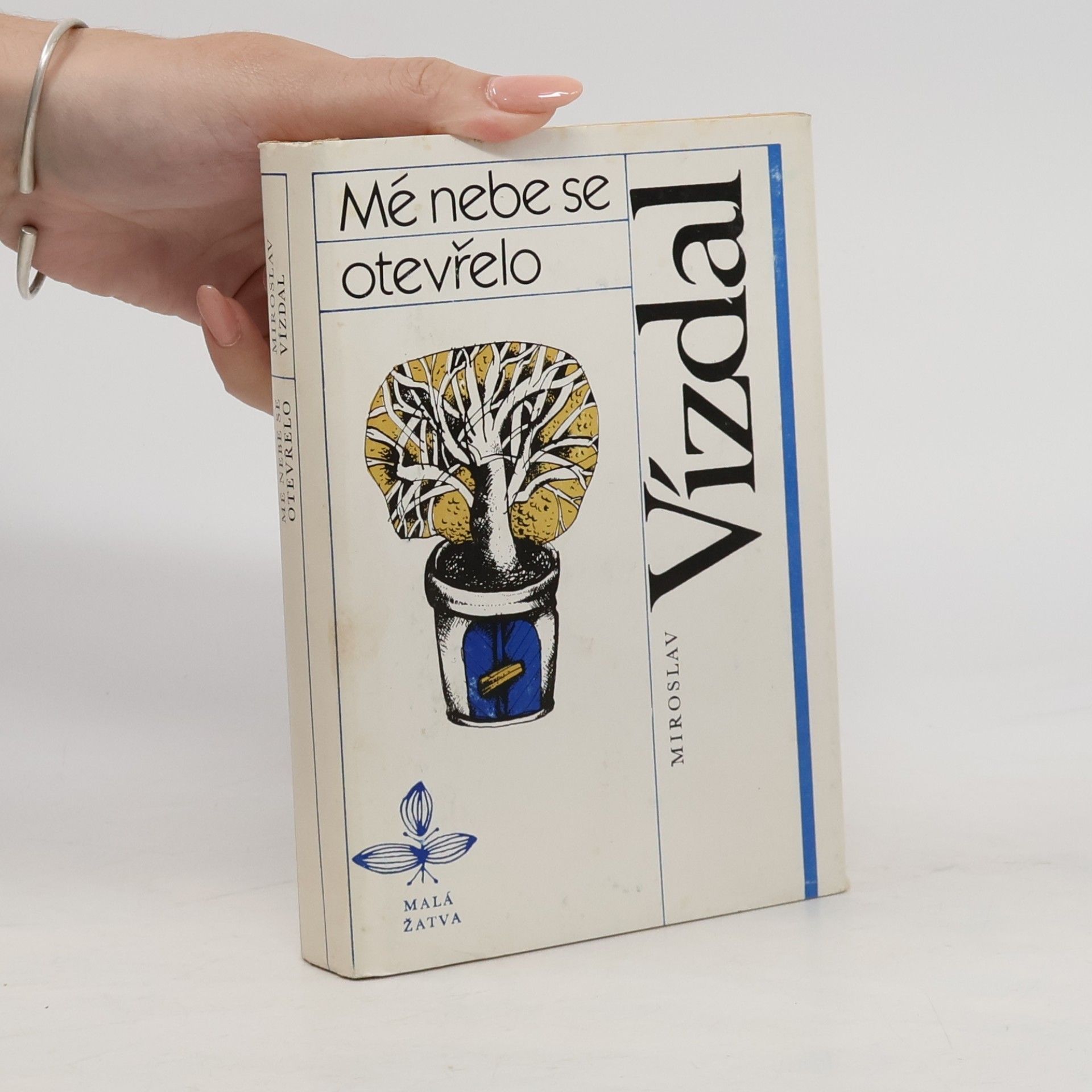 Miroslav Vízdal Mé nebe se otevřelo