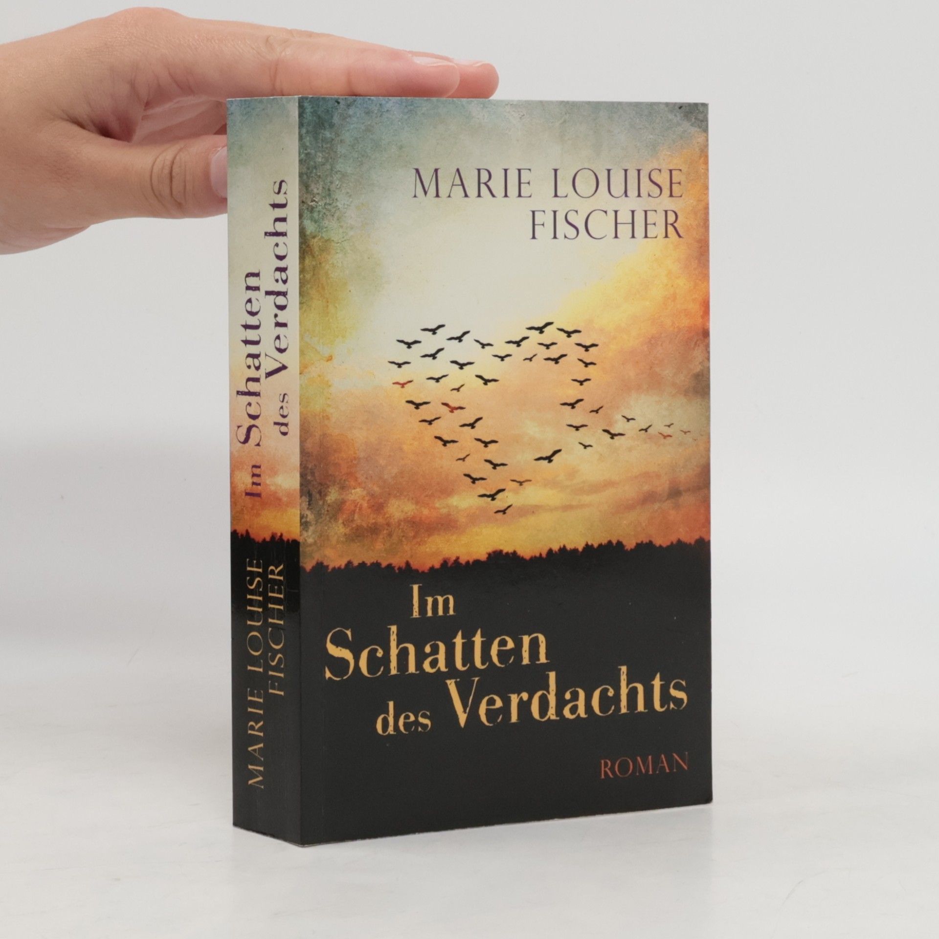 Marie Louise Fischer Im Schatten des Verdachts