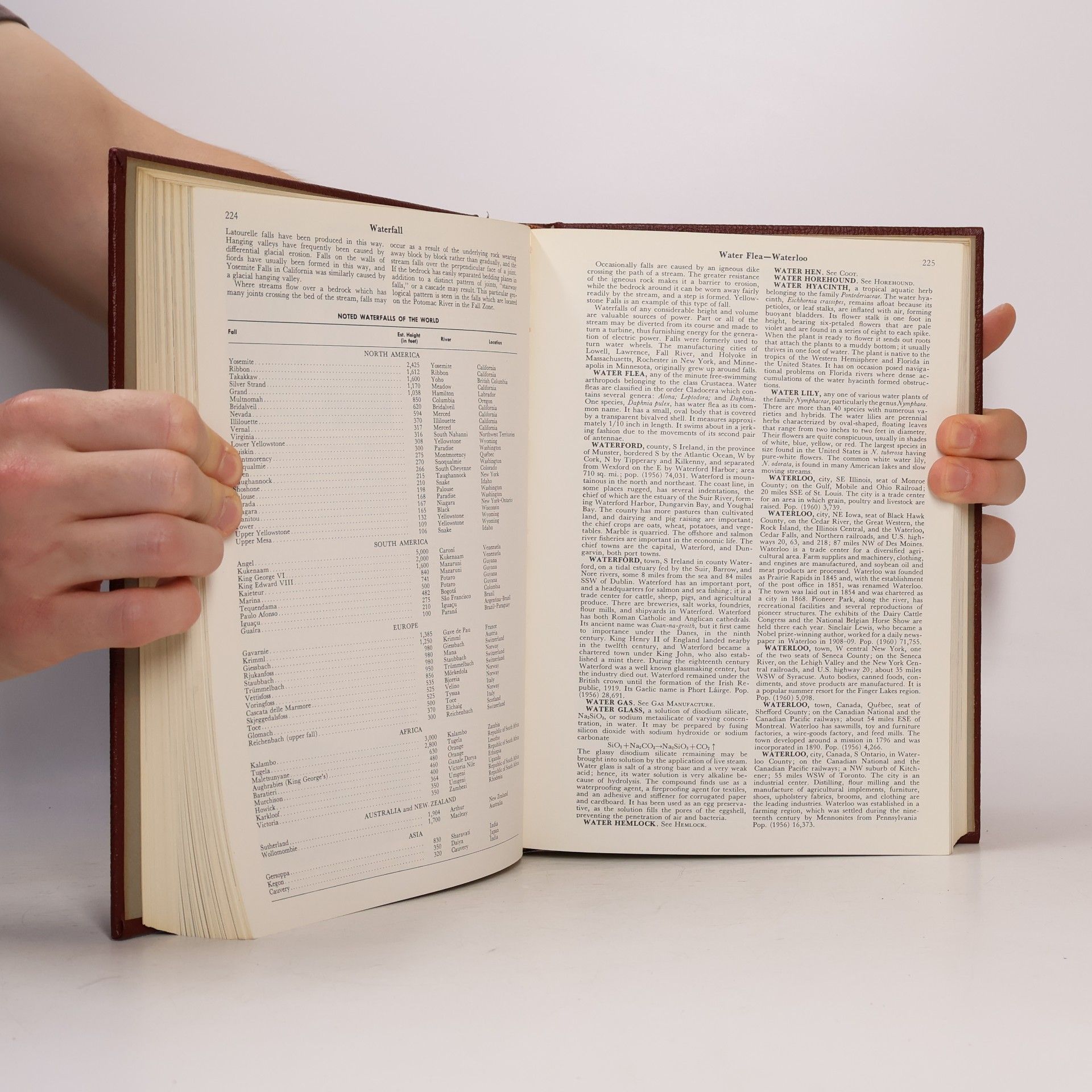 Autorenkollektiv The American Peoples Encyklopedia 19