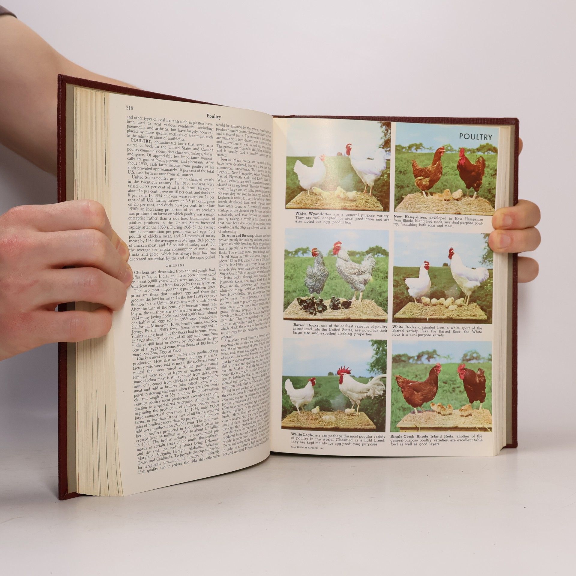 Kolektiv autorů The American Peoples Encyklopedia 15