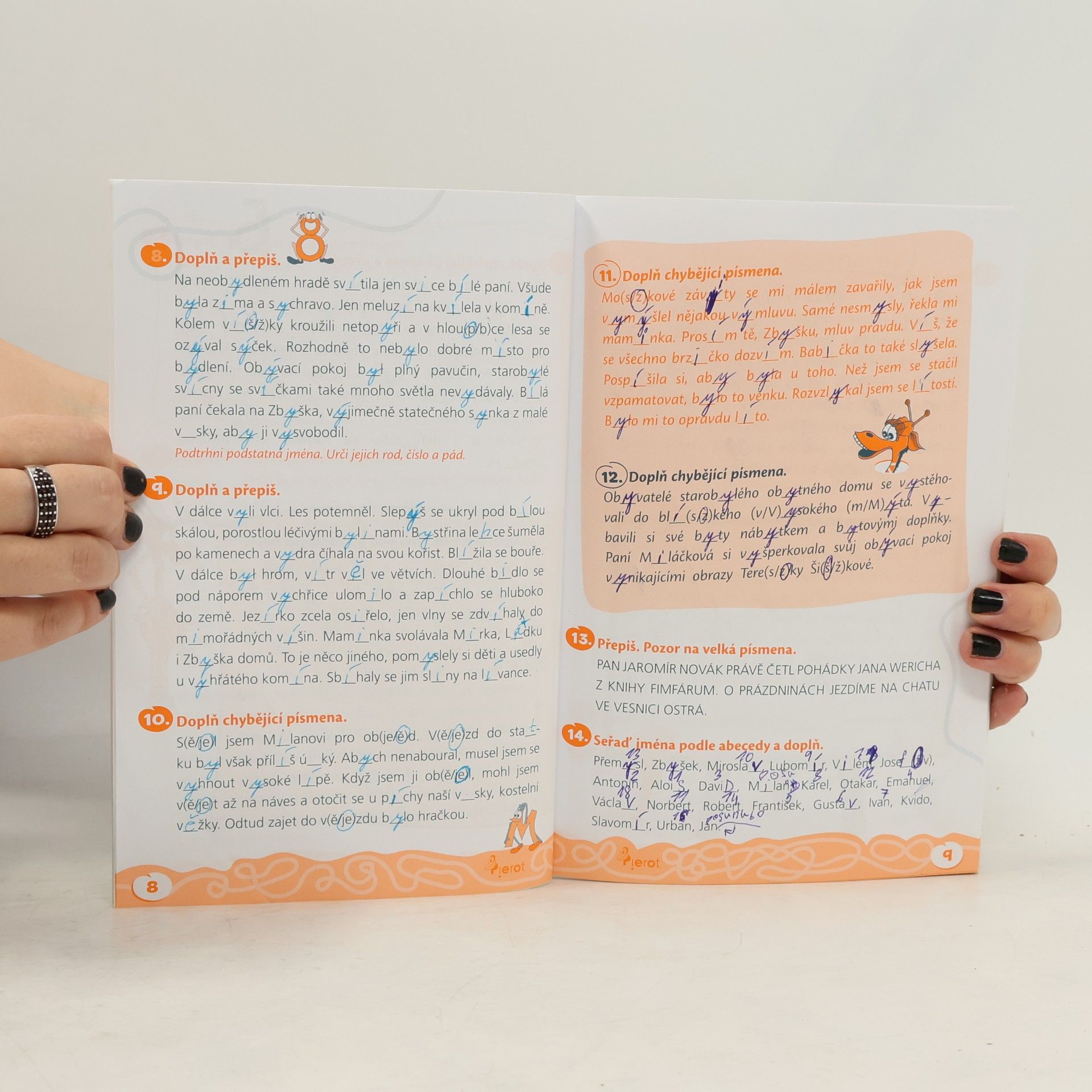 Autorenkollektiv Domácí procvičování - čeština 4