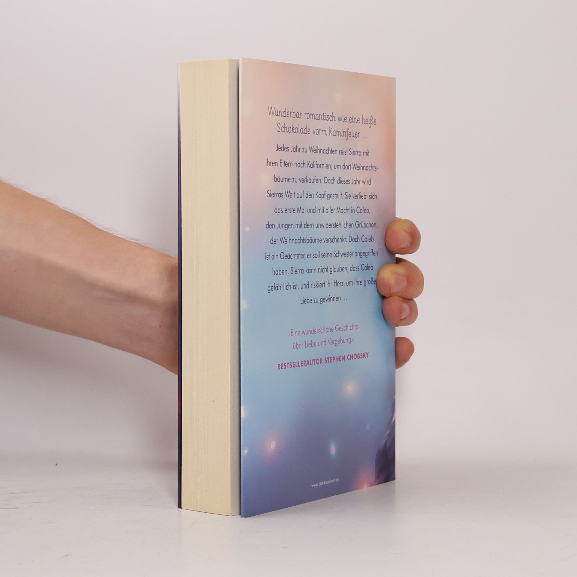 Jay Asher Dein Leuchten