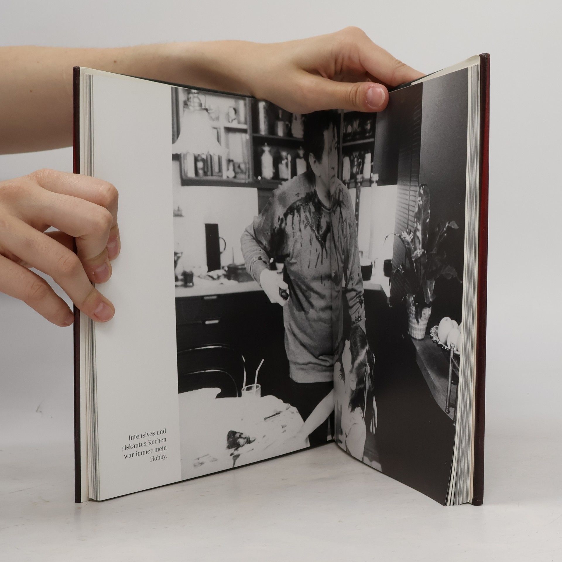Michael Horowitz Otto Schenk : Lebensbilder
