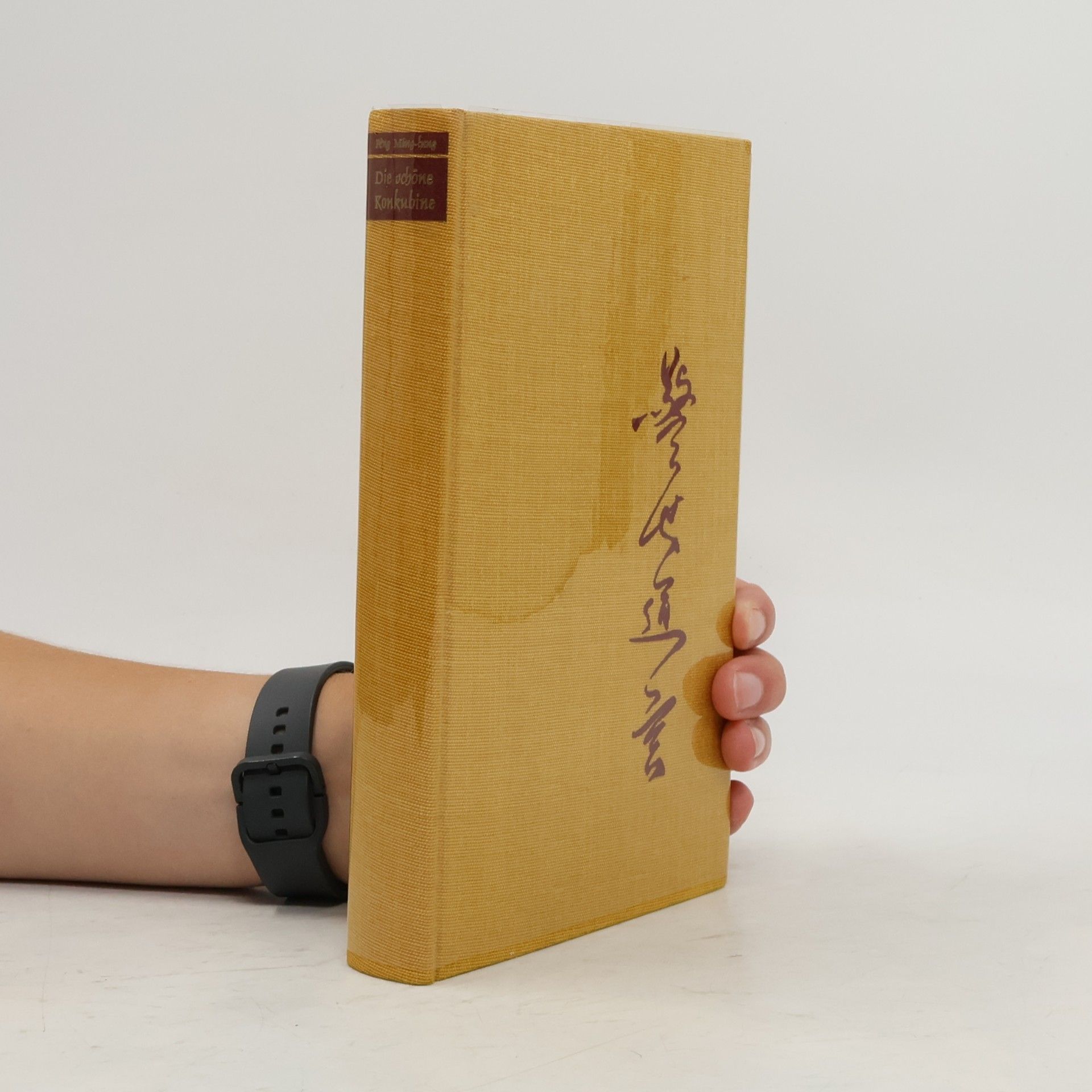Feng Meng-Lung Die schöne Konkubine